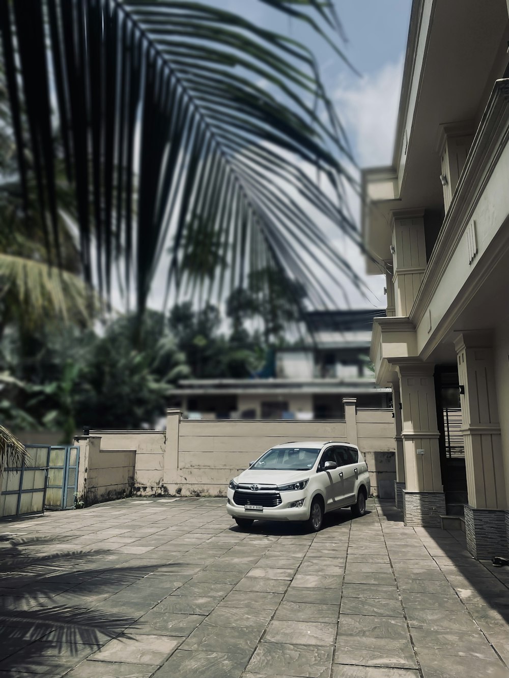 white car parked beside palm tree during daytime