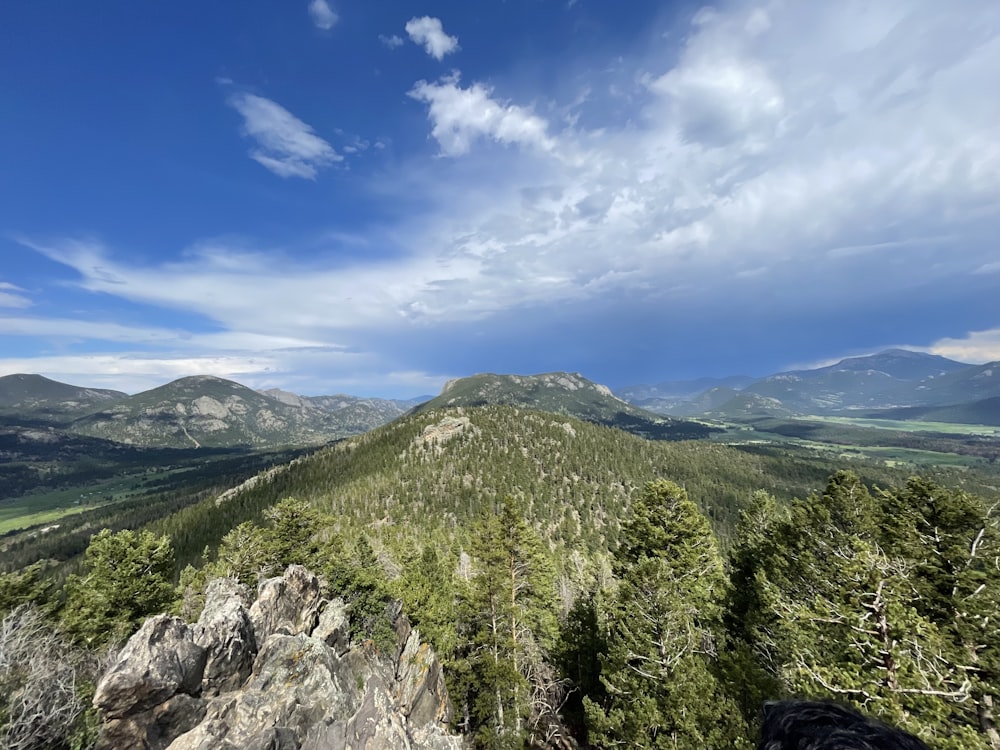 green trees on mountain under blue sky during daytime