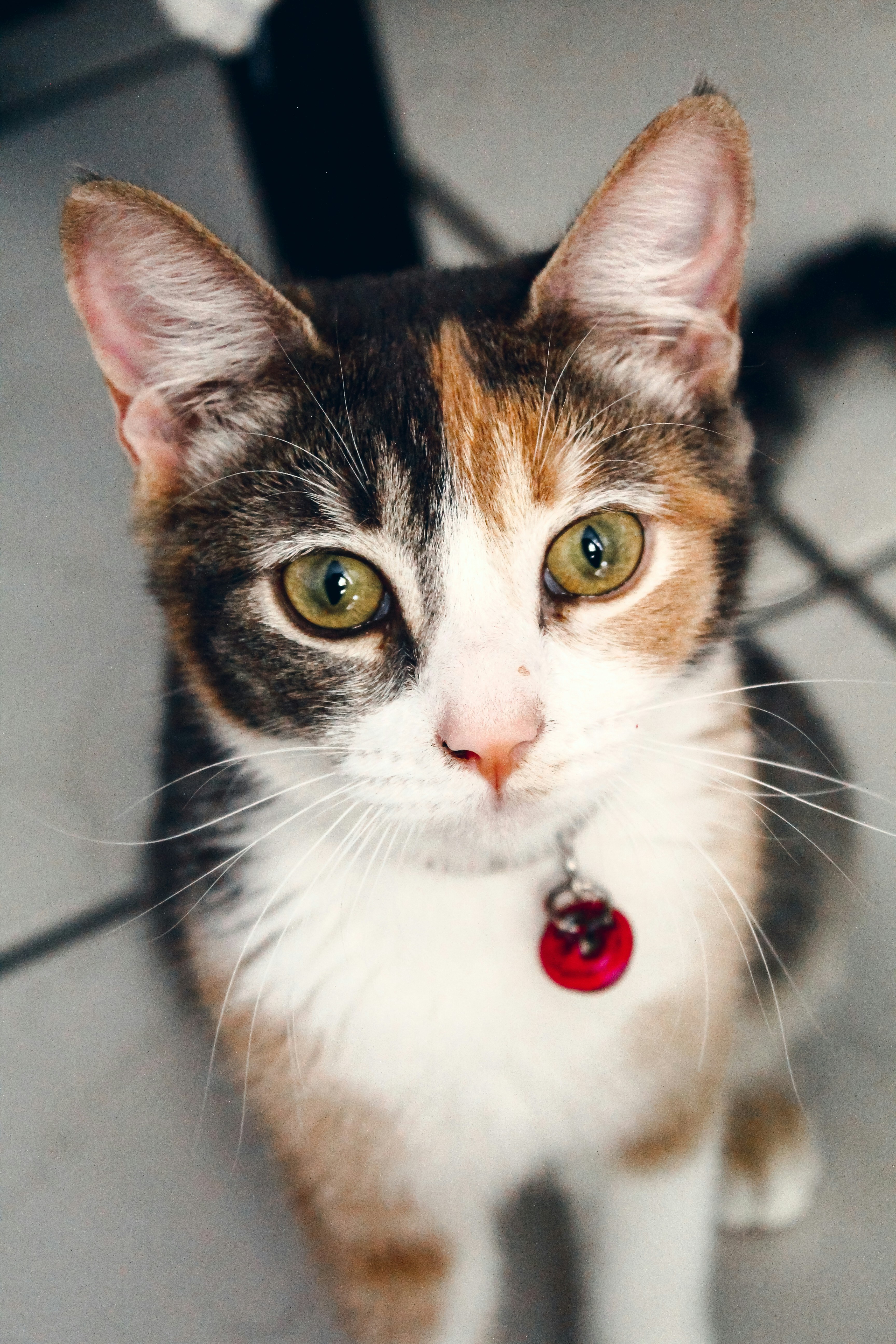 Photo by edgar4lanis