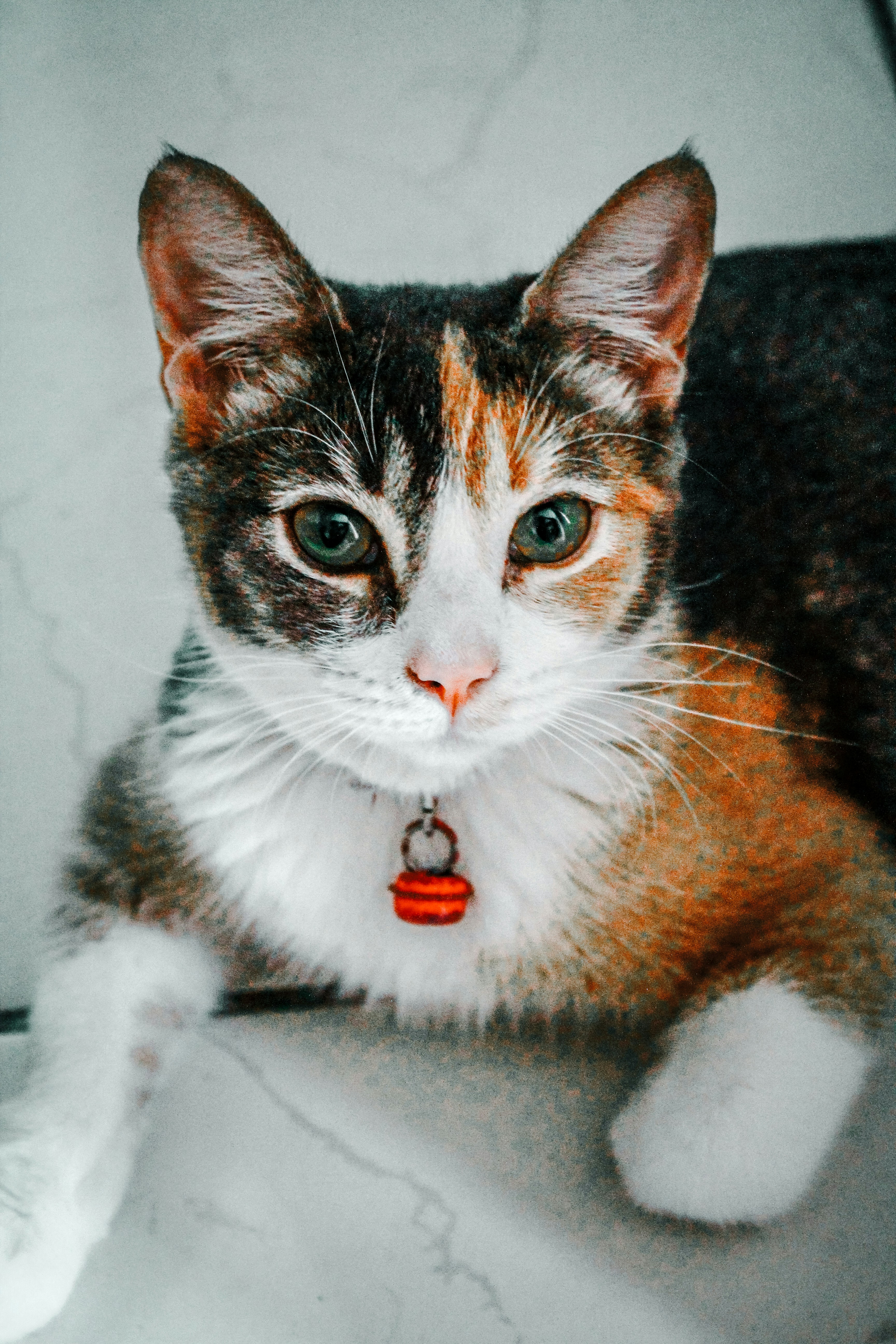 Photo by edgar4lanis