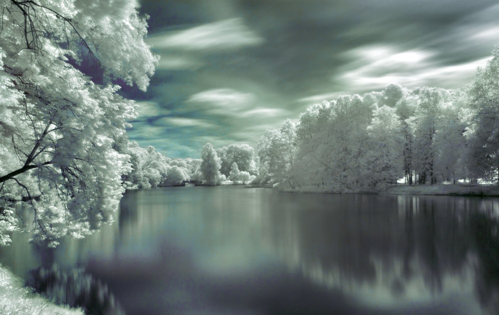 alberi verdi vicino allo specchio d'acqua sotto il cielo nuvoloso durante il giorno