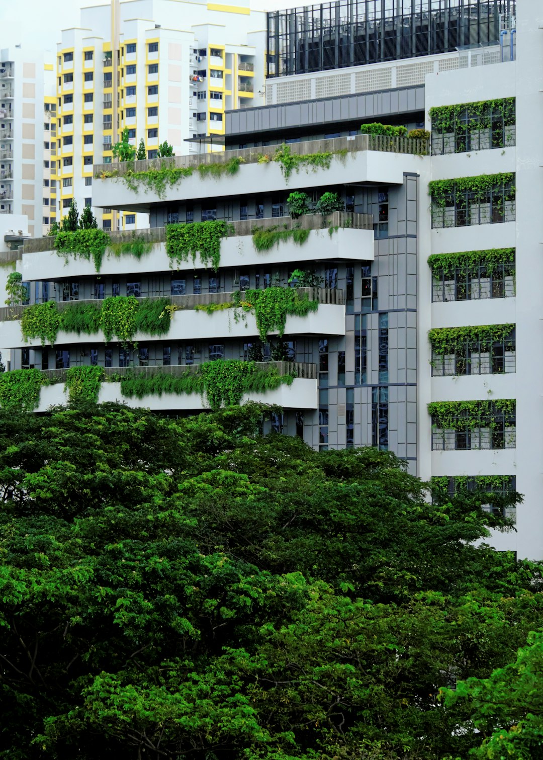 white concrete building near green trees during daytime