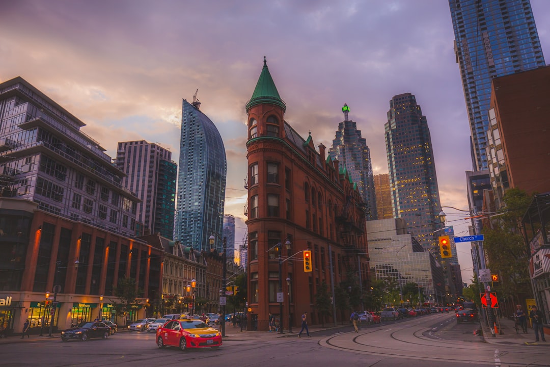 cars on road near high rise buildings during daytime