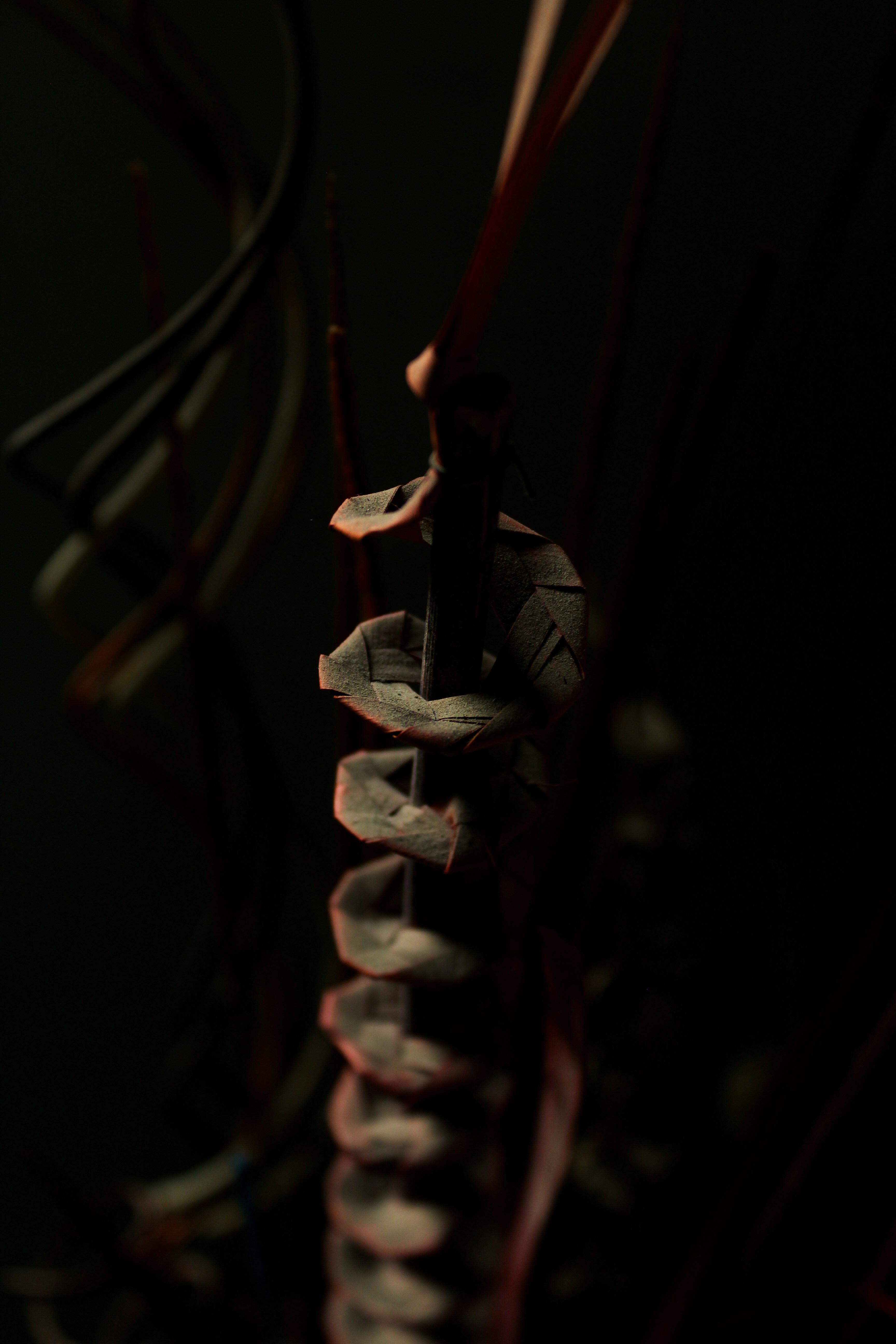 Photo by edgar4lanis