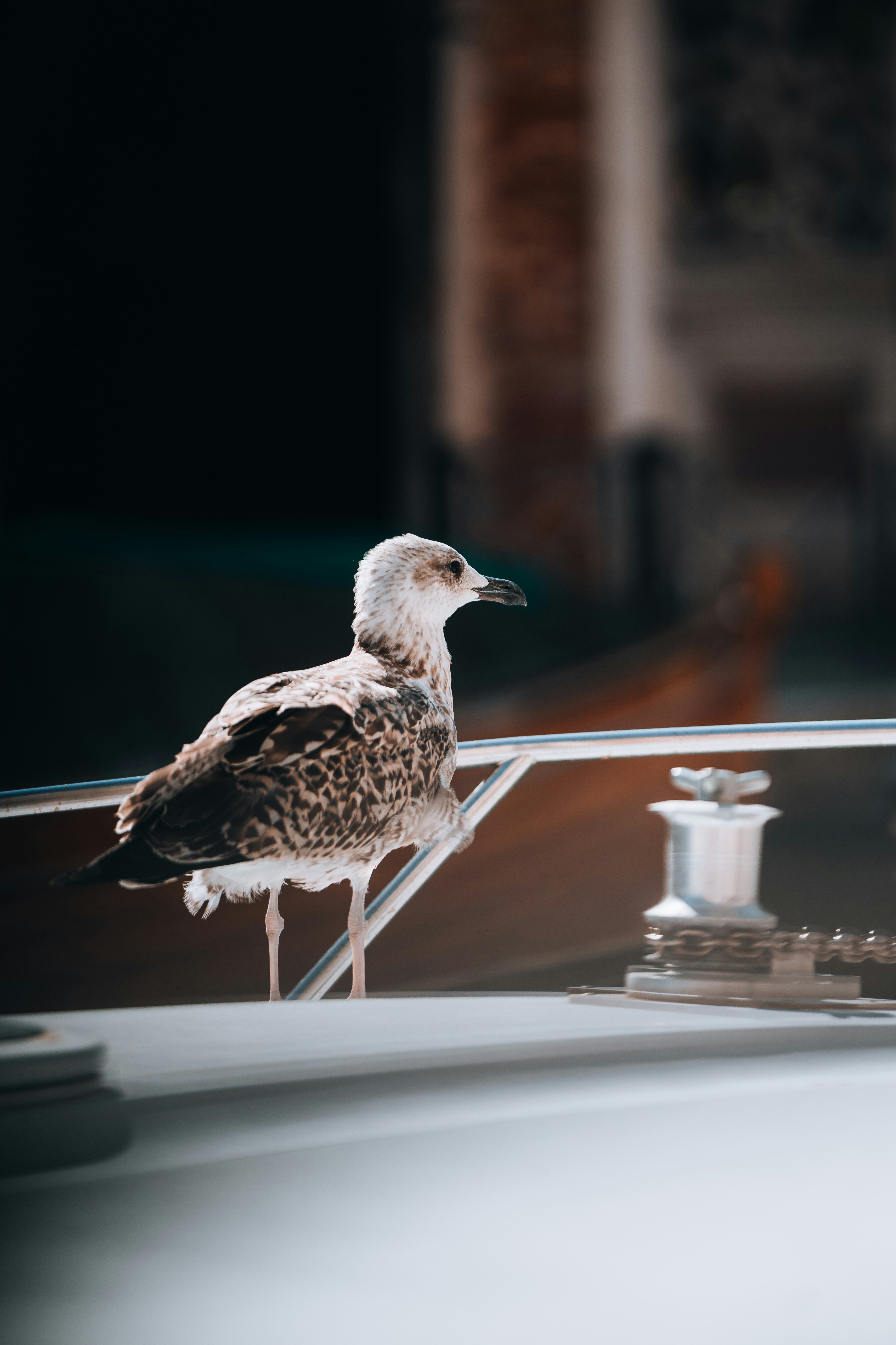 Photo by k_lang_photography