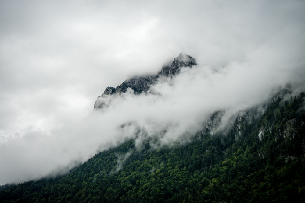 green mountain covered with clouds