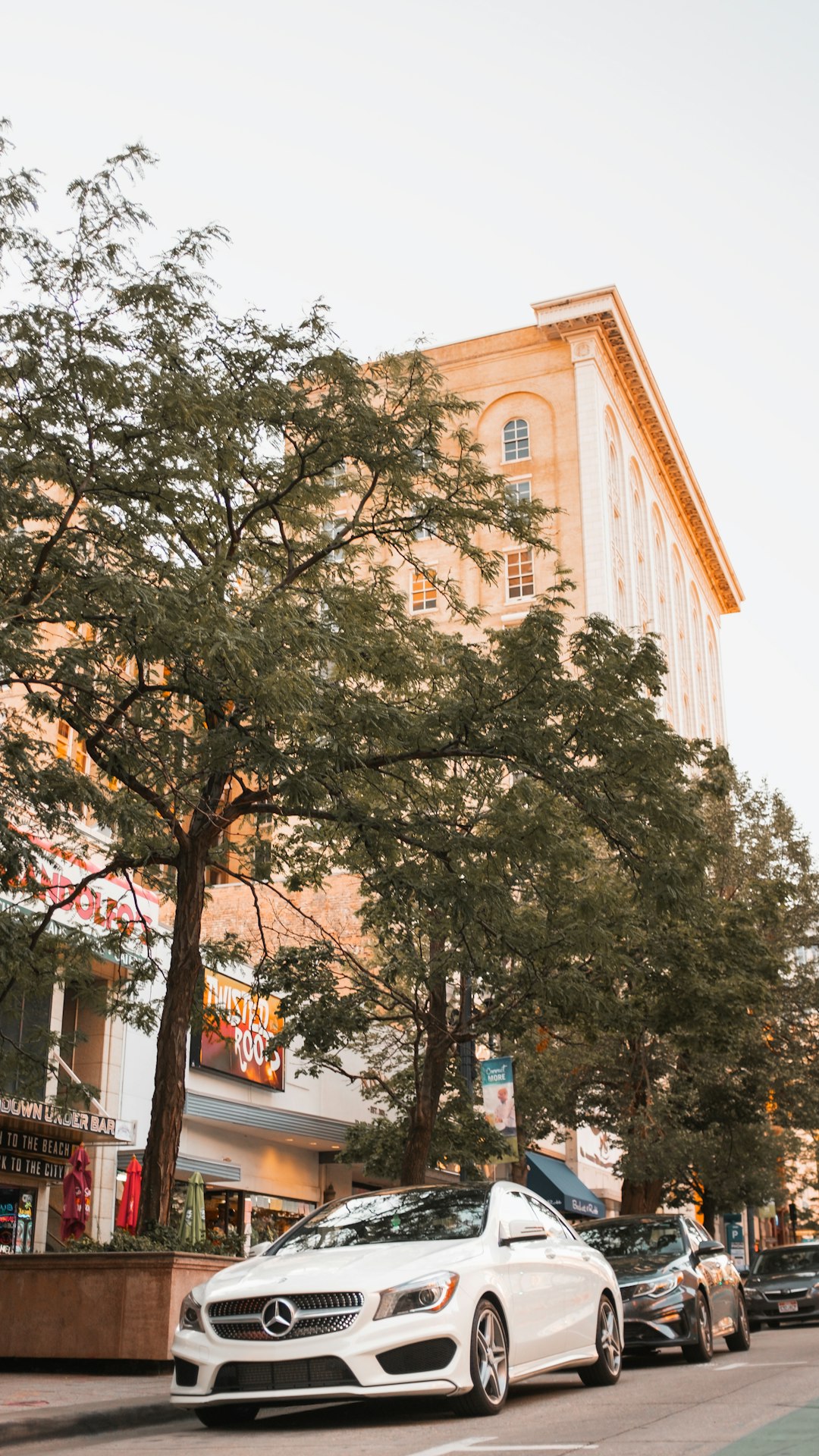 green tree near brown concrete building during daytime