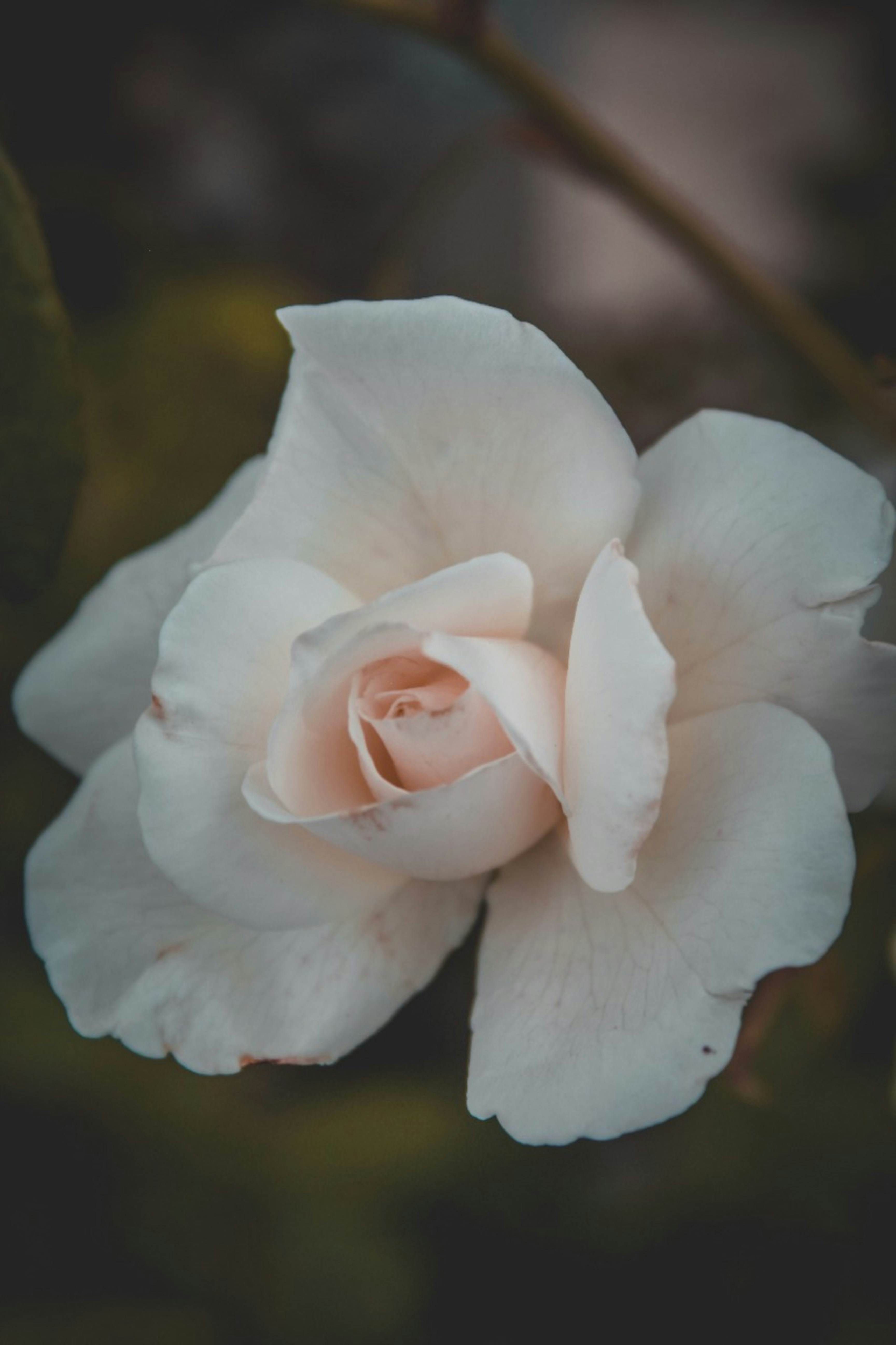 Photo by edgar4lanis