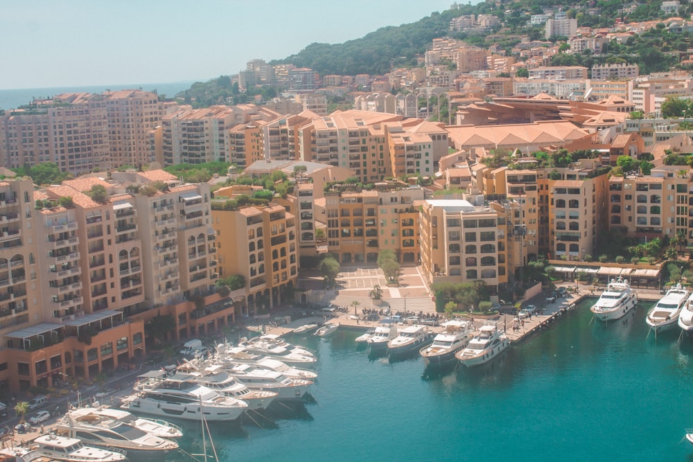 white and brown concrete buildings near body of water during daytime