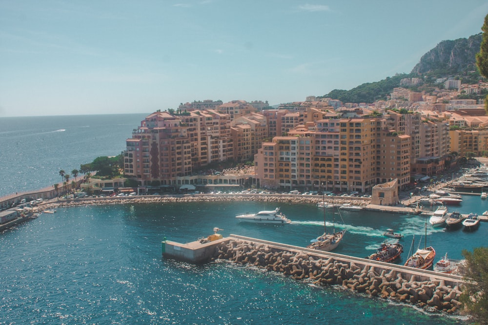 city buildings near body of water during daytime