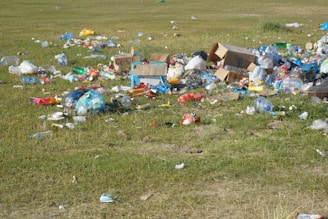 A field scattered with litter, including plastic bottles, cardboard boxes, and various other trash items. The grass is patchy and mixed with dry and green areas, and the amount of waste suggests a lack of proper disposal or care for the environment.