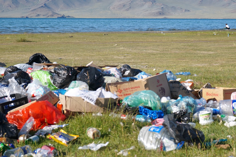 garbage bags on green grass field near sea during daytime