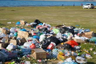 garbage bags on the beach