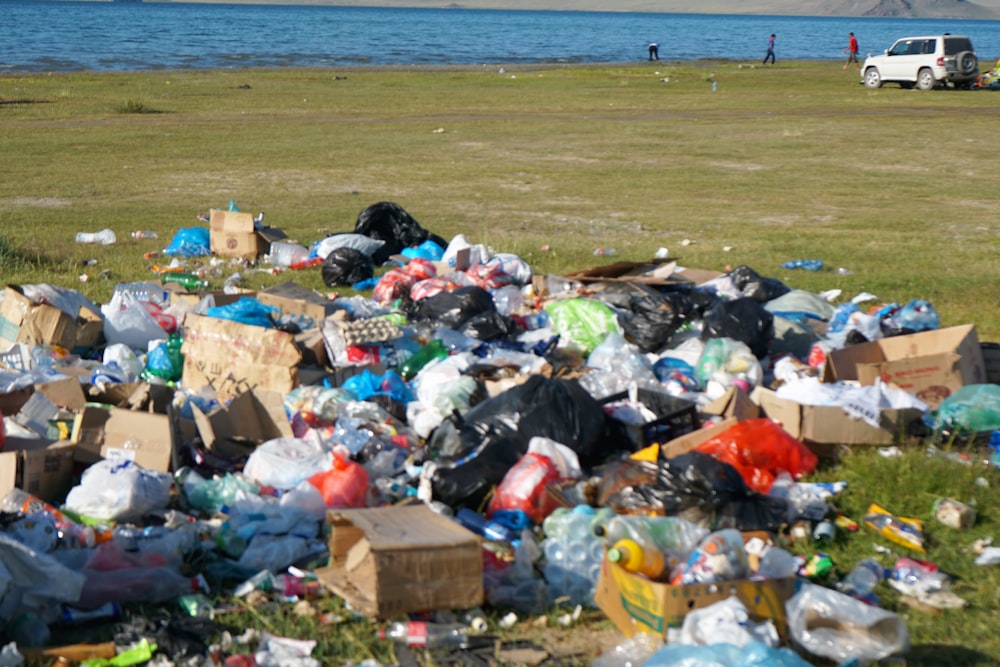 garbage bags on the beach