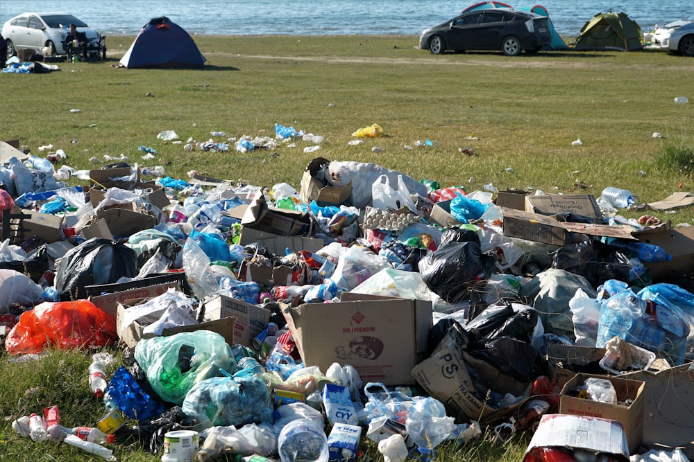 garbage bags on green grass field near body of water during daytime