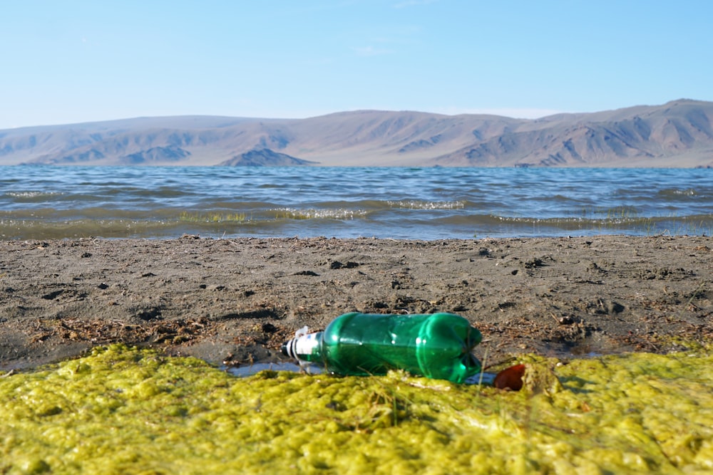 green glass bottle on brown sand near body of water during daytime