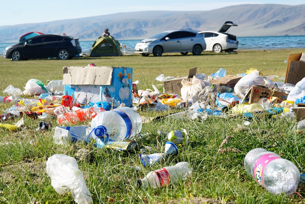 plastic bottles on green grass field