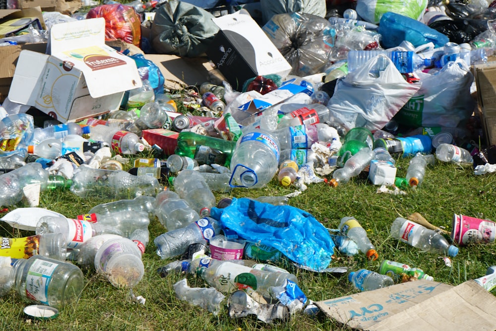 bouteille en plastique bleue sur un champ d’herbe verte