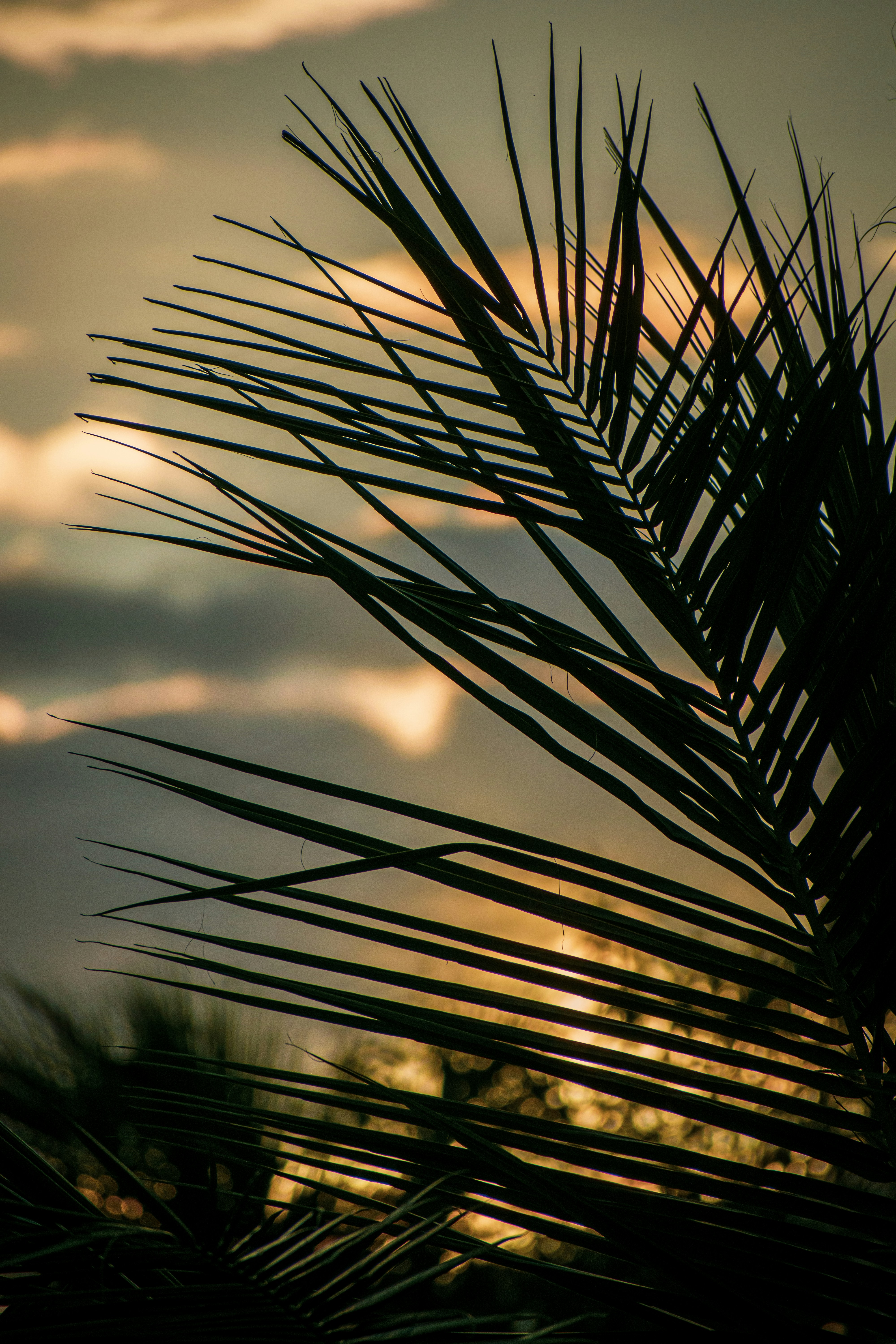 Photo by thebugadi