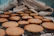 Warm kitchen scene with a tray of golden nut-studded cookies cooling on a rack.