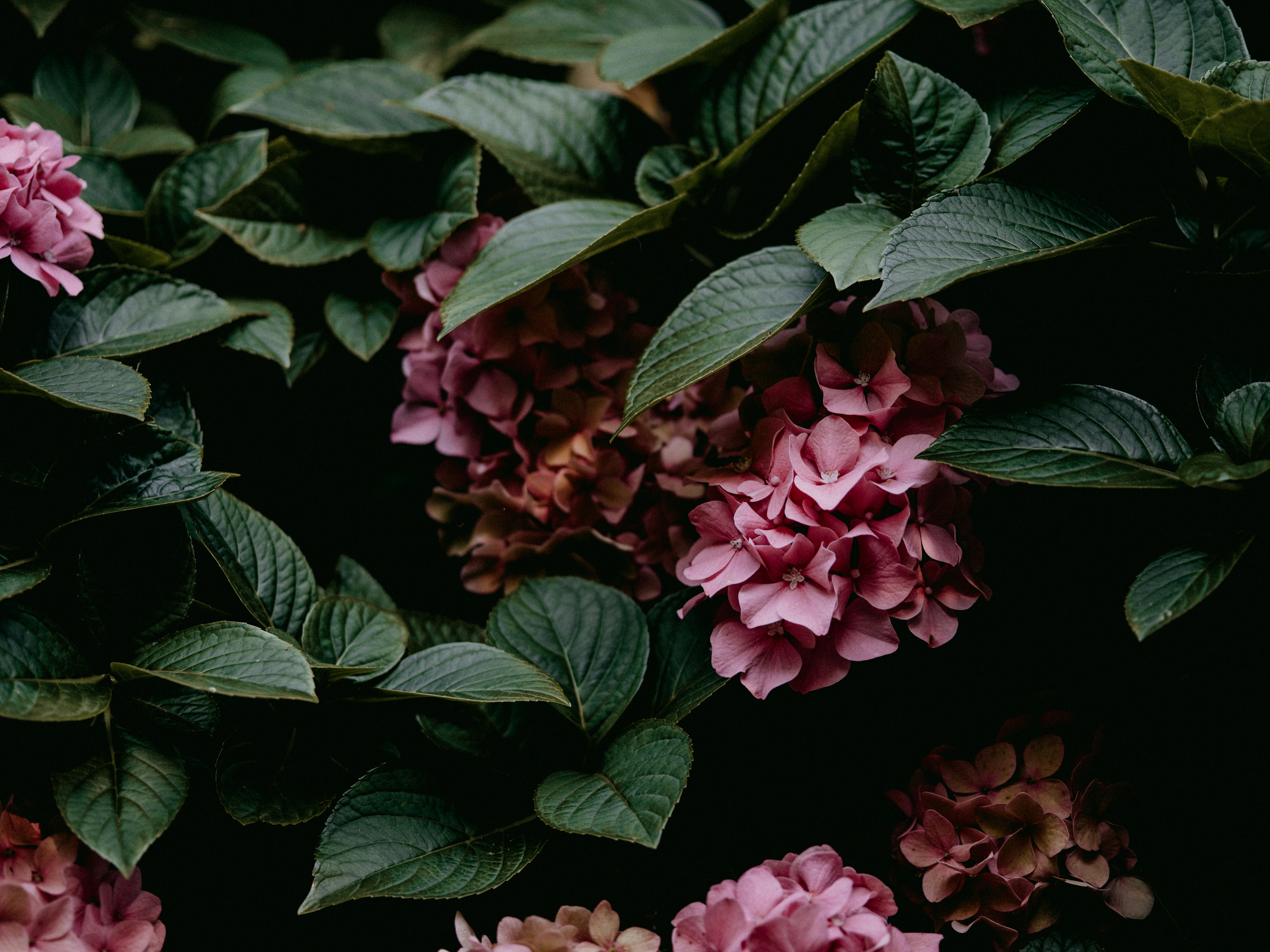 Photo by anniespratt