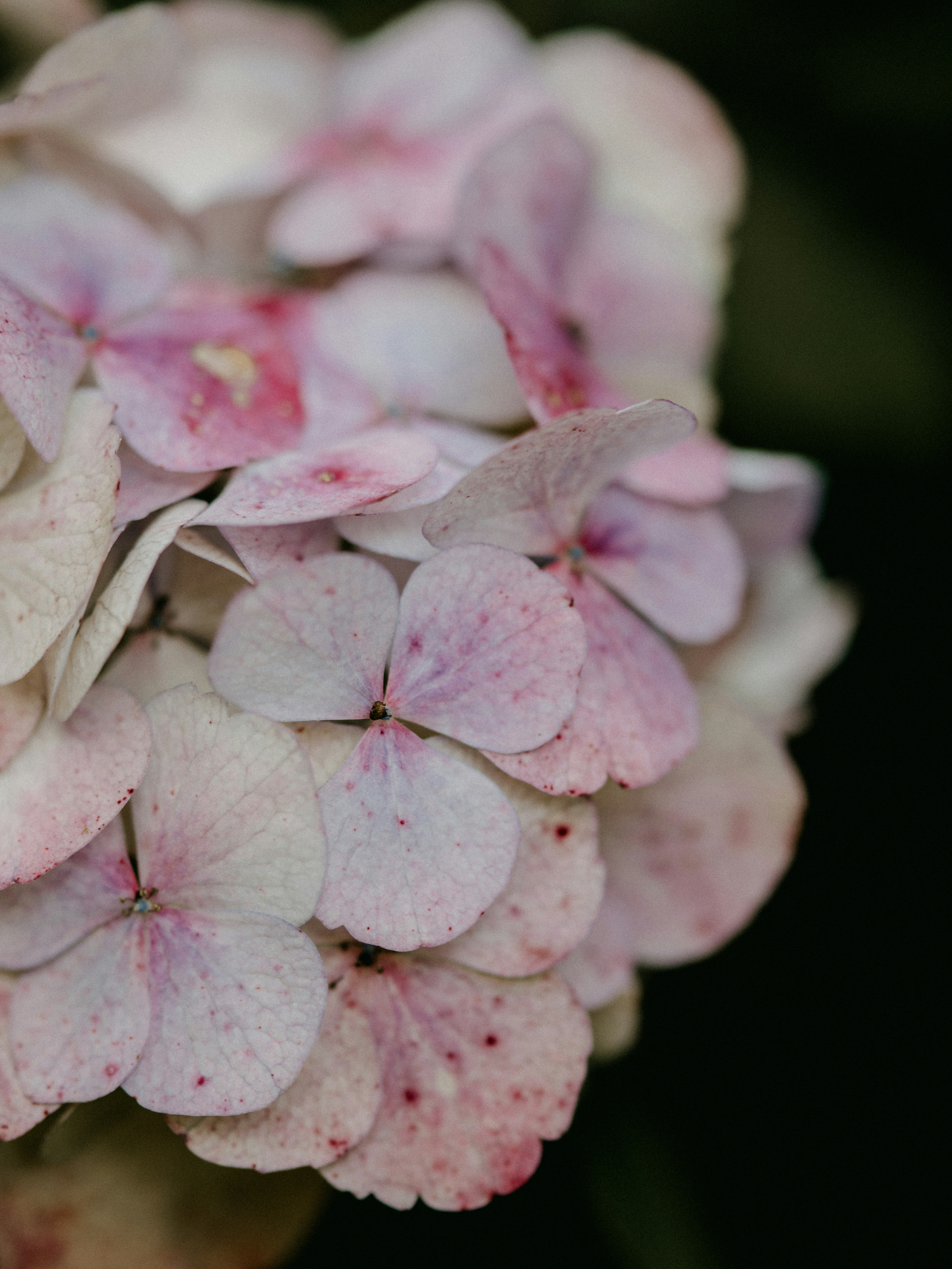 Photo by anniespratt