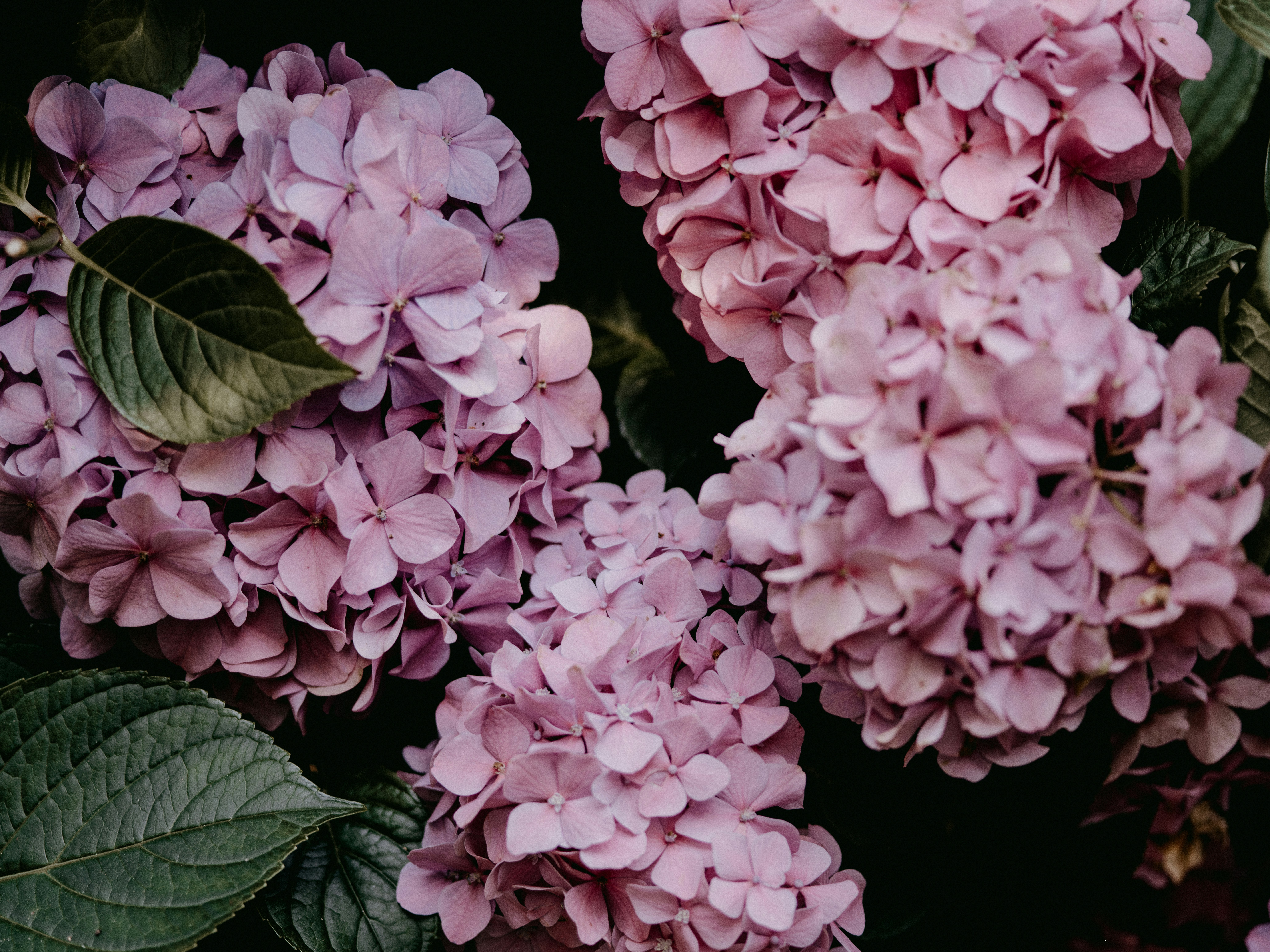 Photo by anniespratt