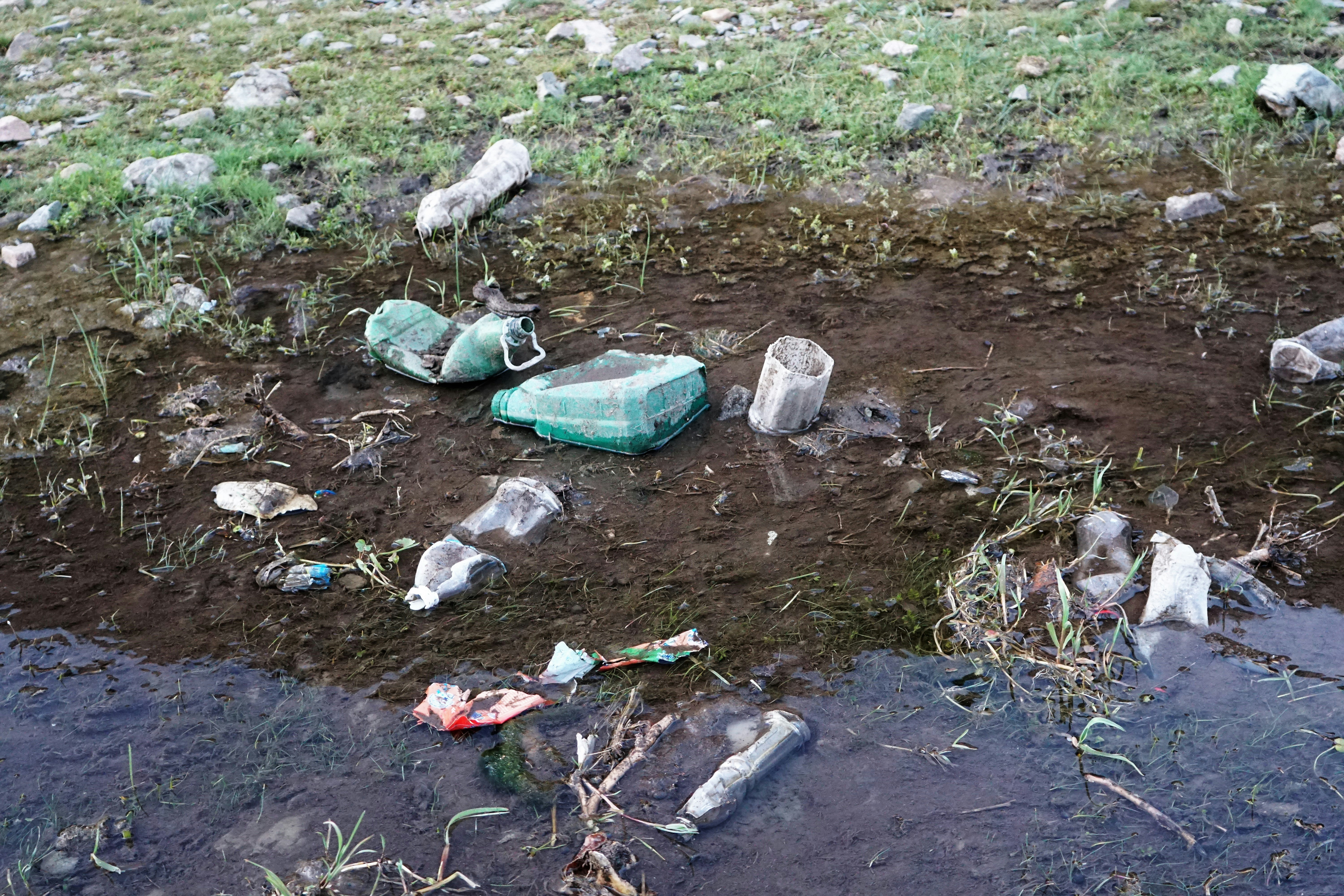 Eco-Friendly Pollution Combat Products