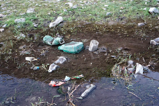 A collection of discarded plastic bottles and containers is scattered across a muddy, grassy area near a small body of water. The littered items include various shapes and sizes of plastic debris, some of which are partially submerged in the water. The surrounding area shows signs of sparse vegetation with green grass and some patches of earth.