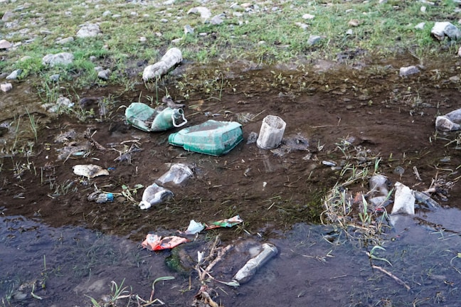 A collection of discarded plastic bottles and containers is scattered across a muddy, grassy area near a small body of water. The littered items include various shapes and sizes of plastic debris, some of which are partially submerged in the water. The surrounding area shows signs of sparse vegetation with green grass and some patches of earth.