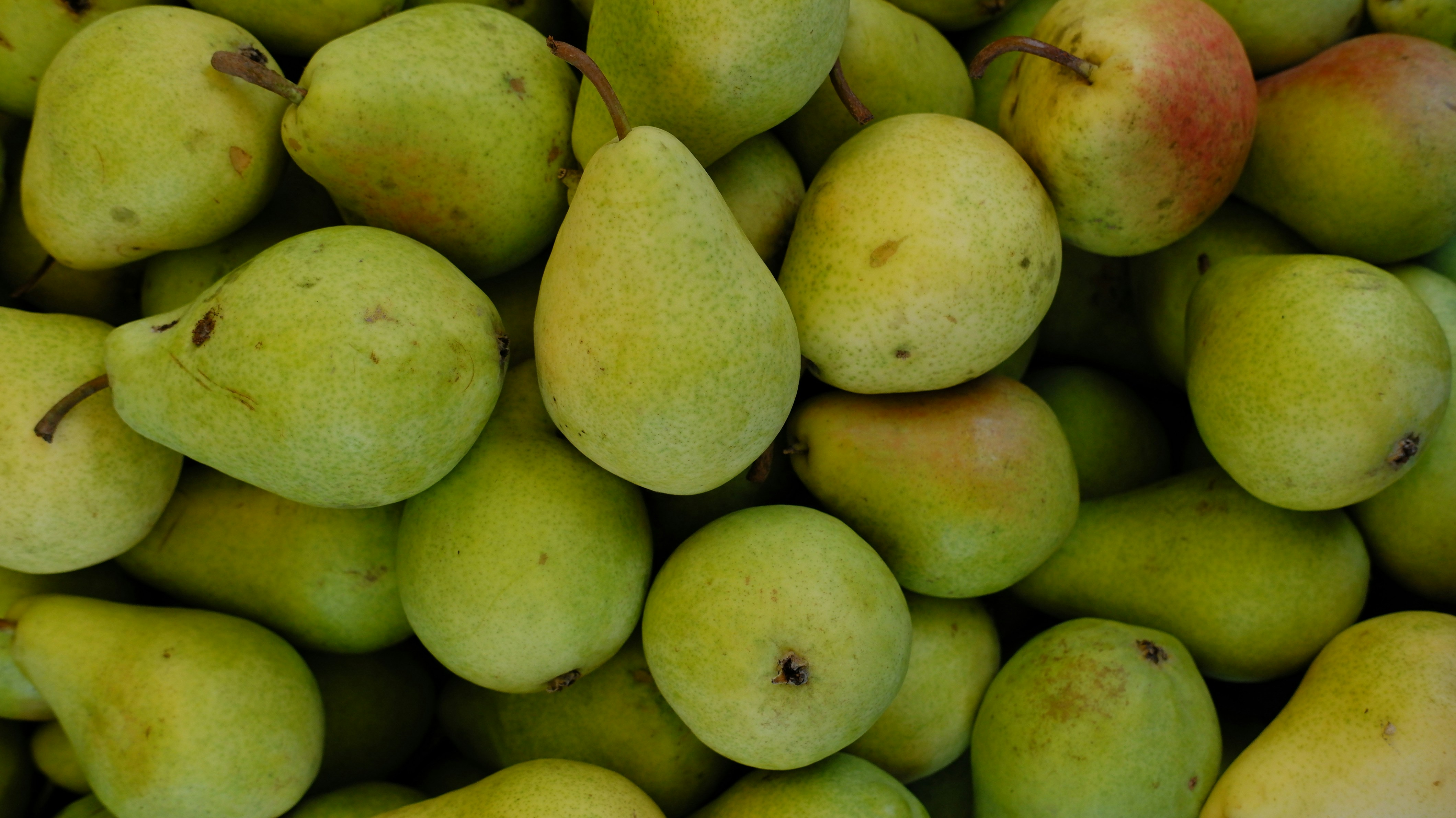 Photo by mary_borysova