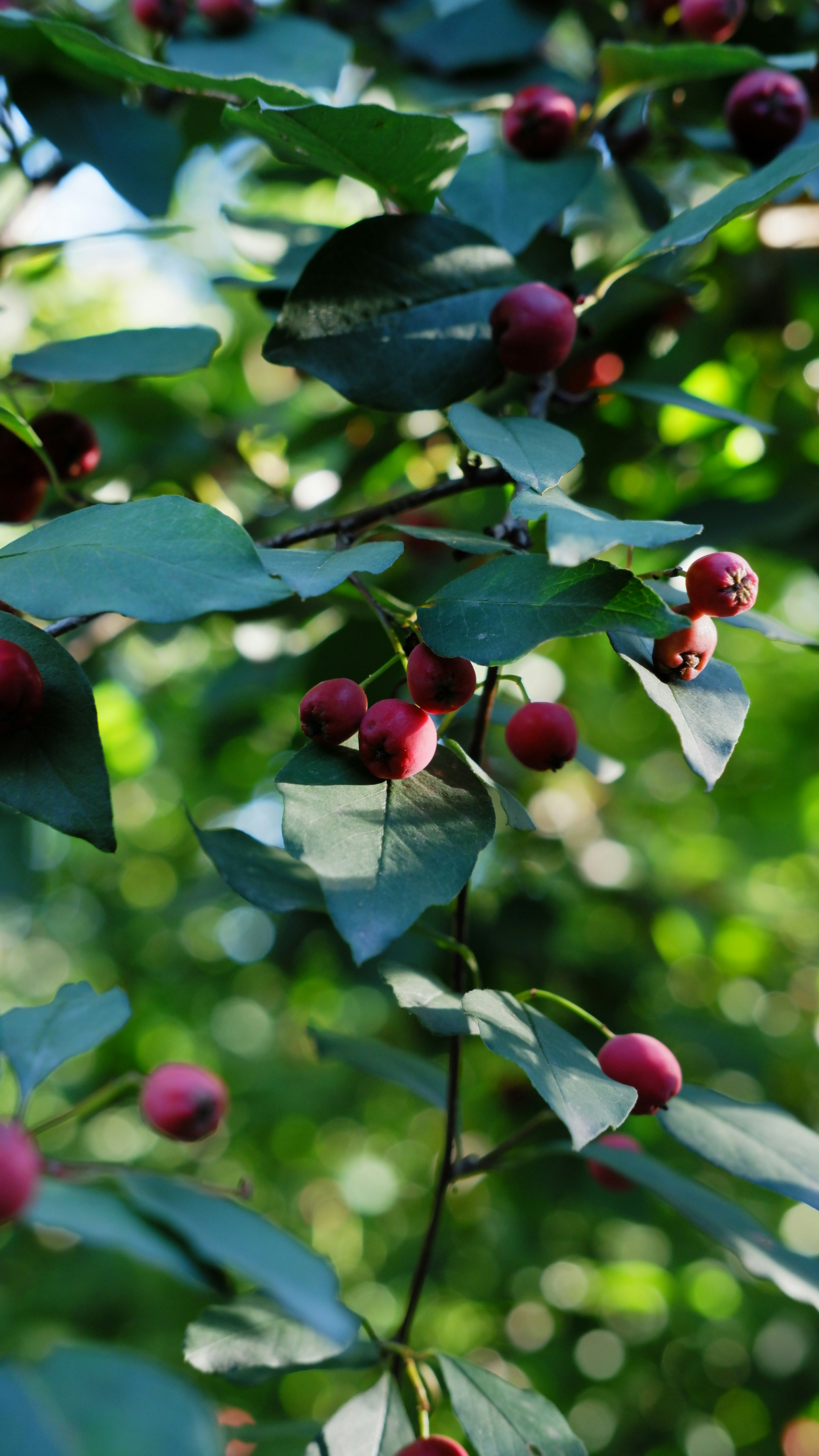 Photo by mary_borysova