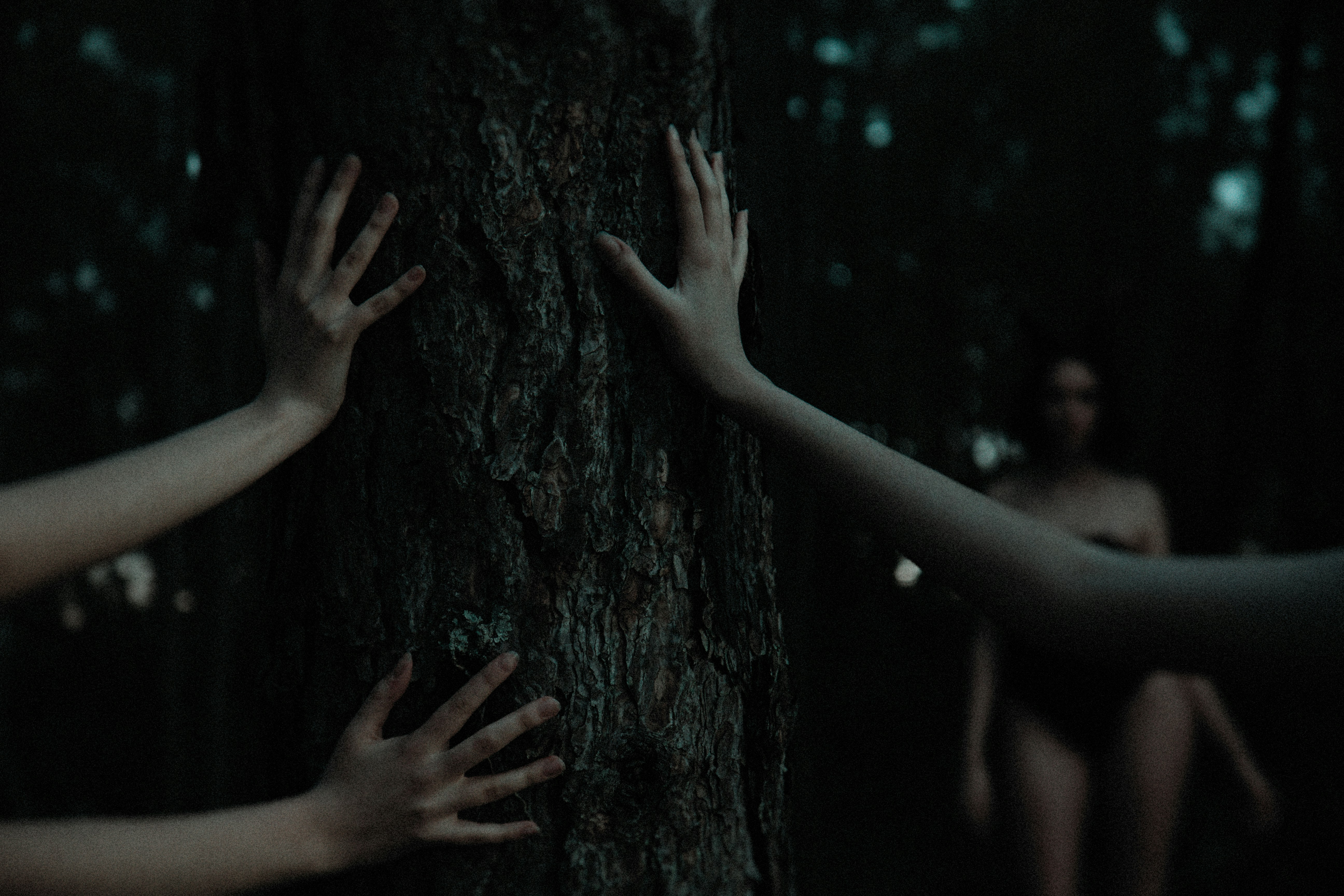 persons hand on brown tree trunk