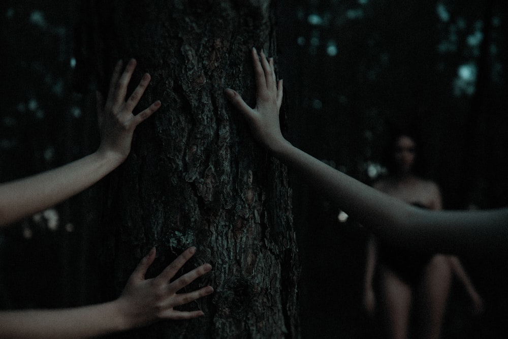 persons hand on brown tree trunk