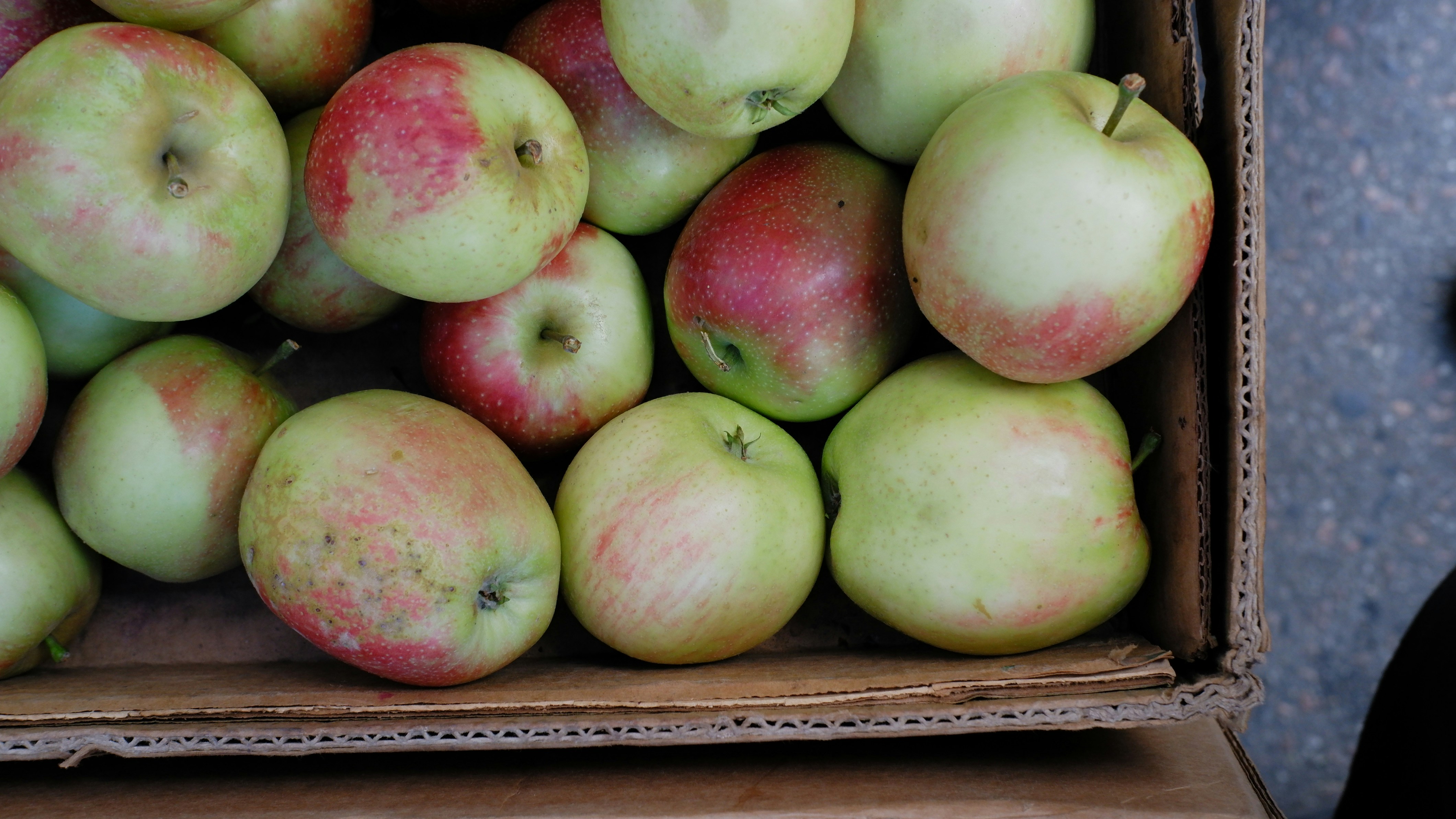 Photo by mary_borysova