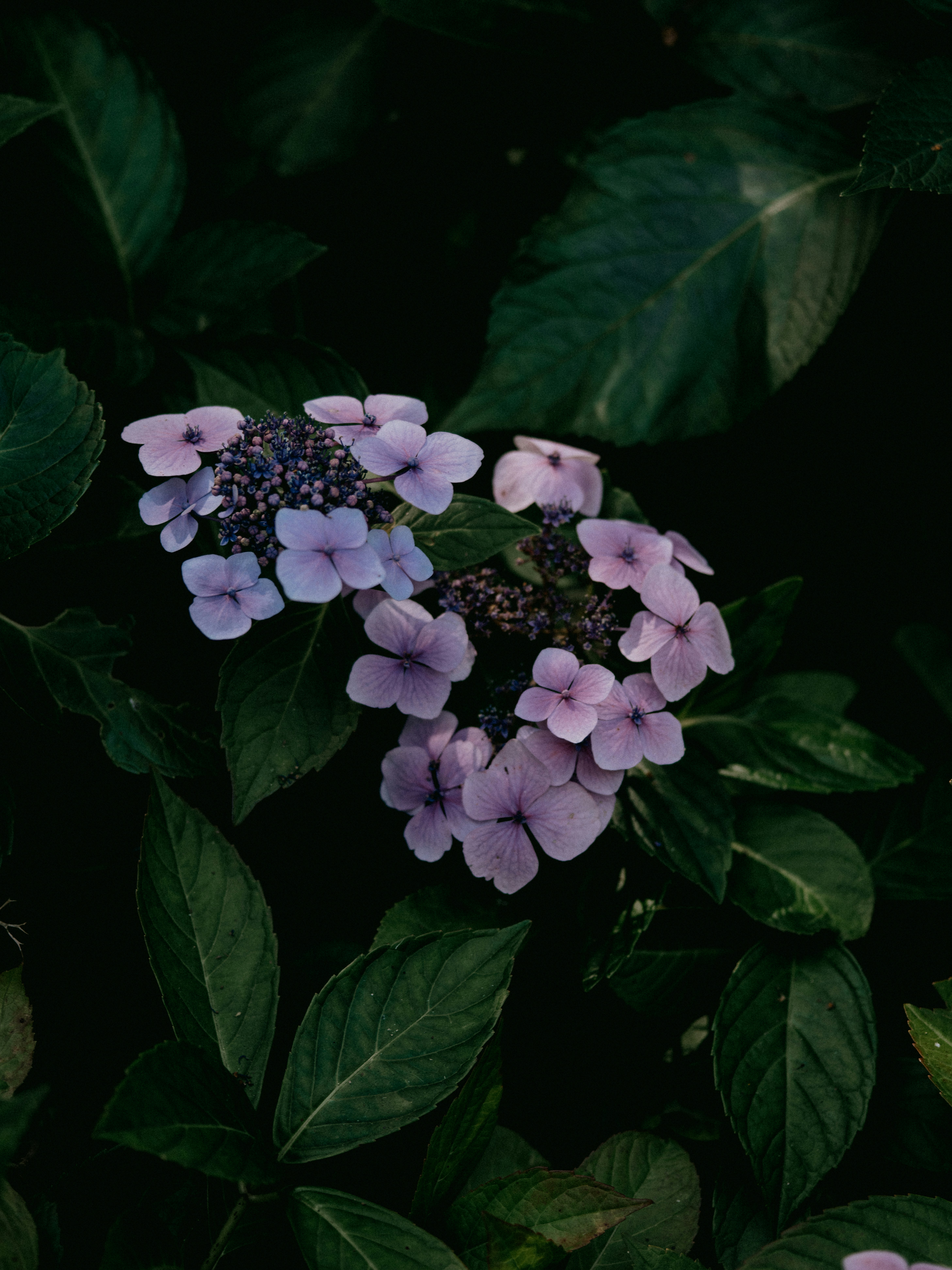 Photo by anniespratt