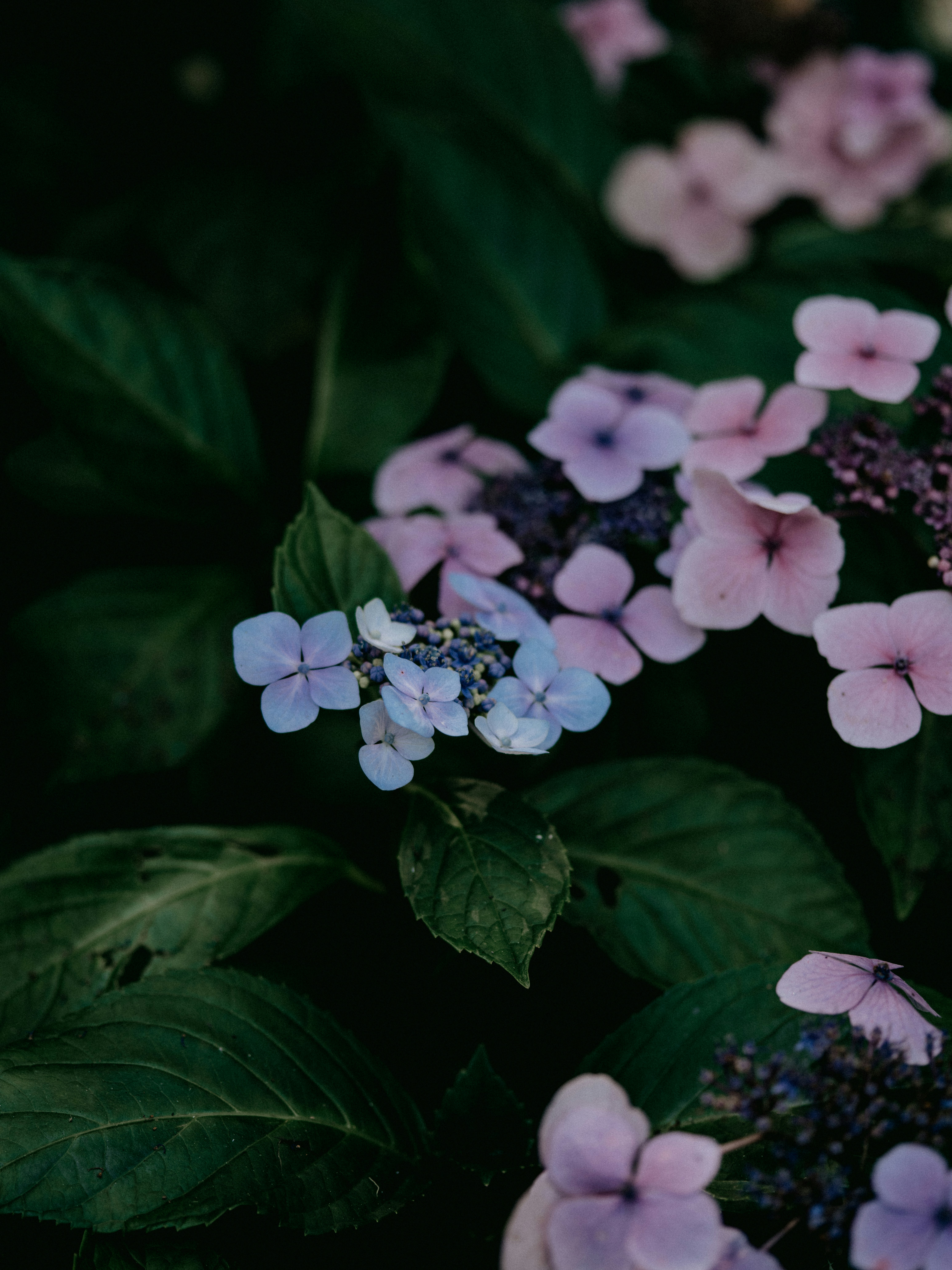 Photo by anniespratt