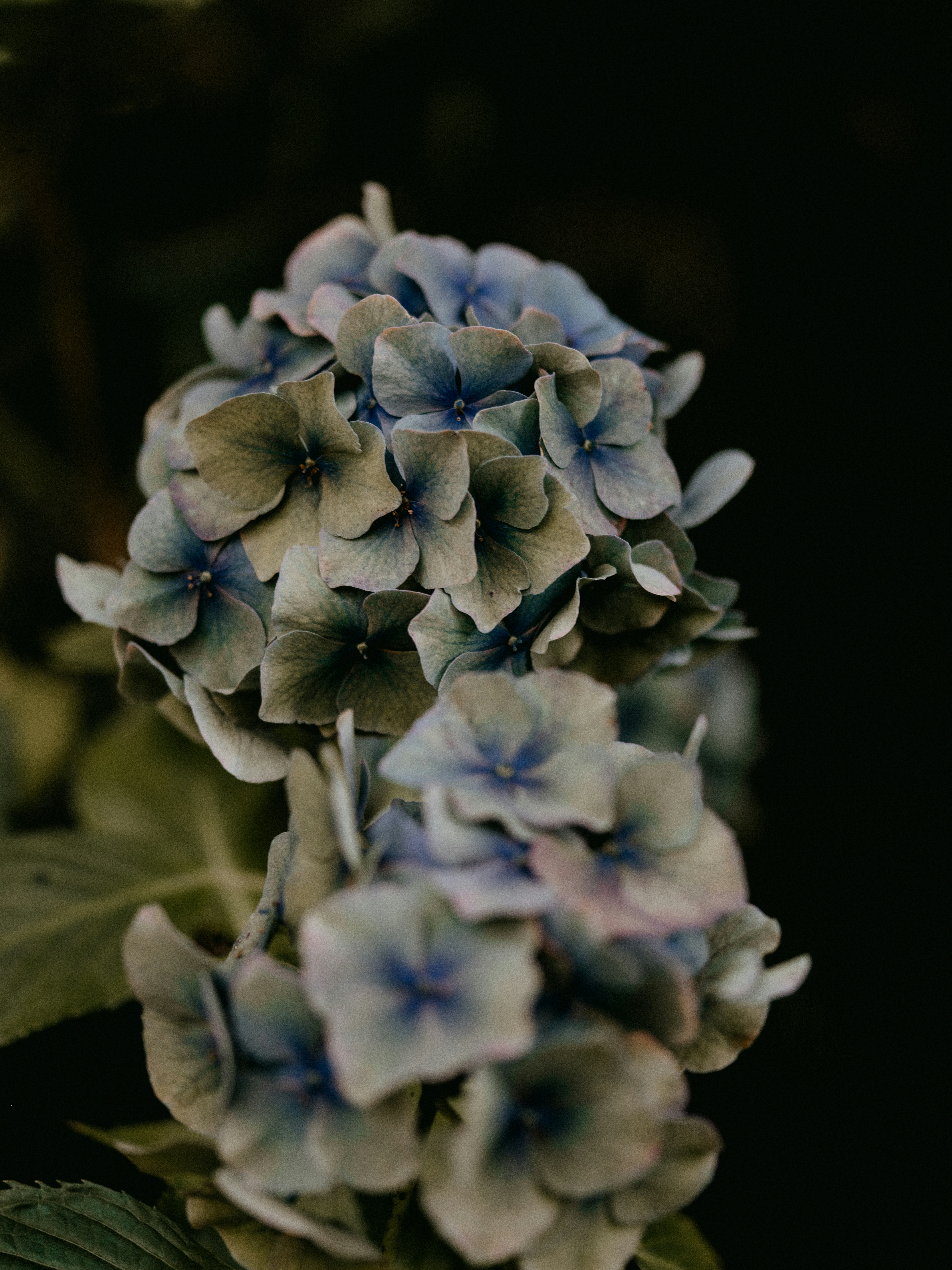 Photo by anniespratt