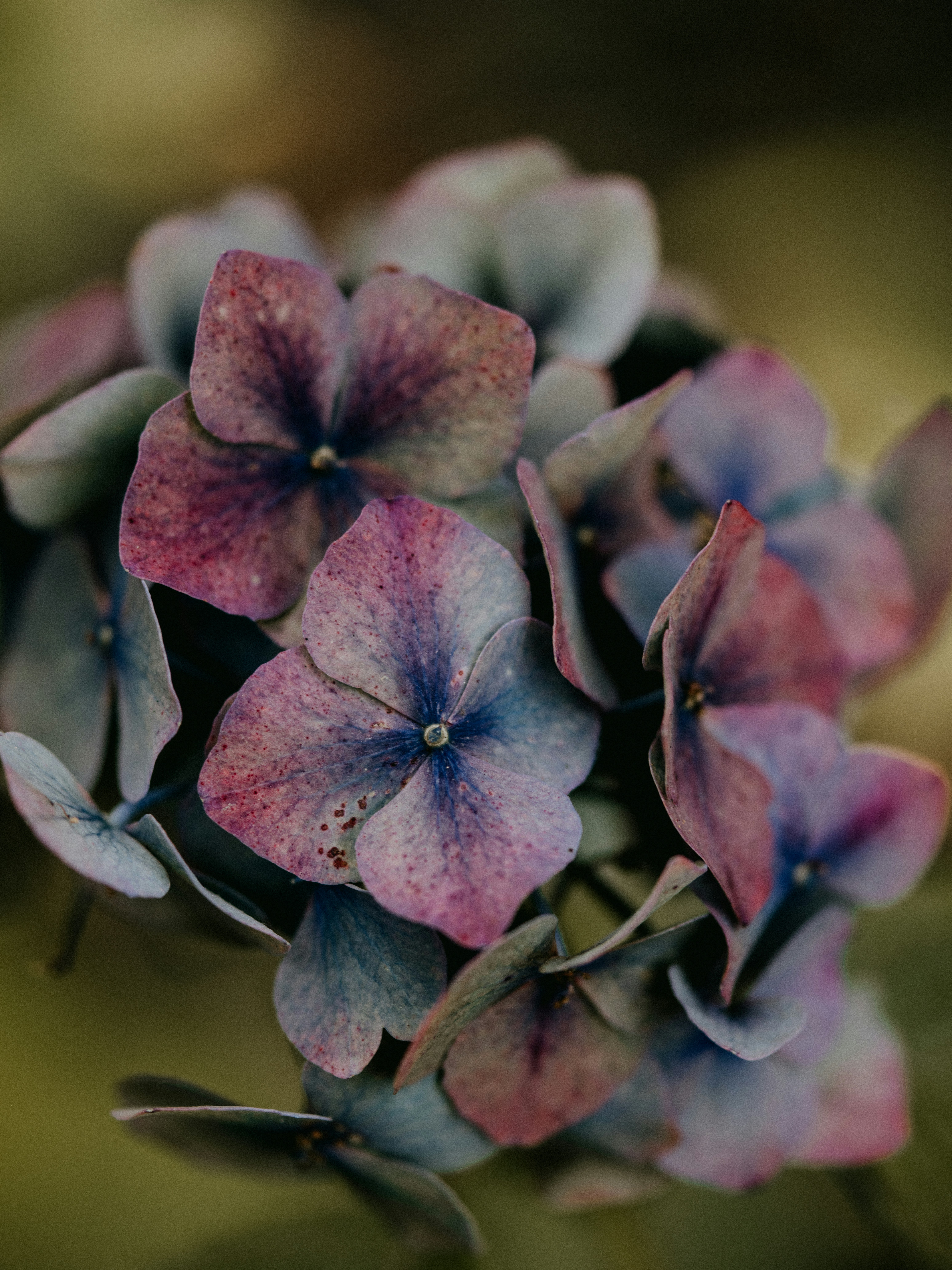 Photo by anniespratt