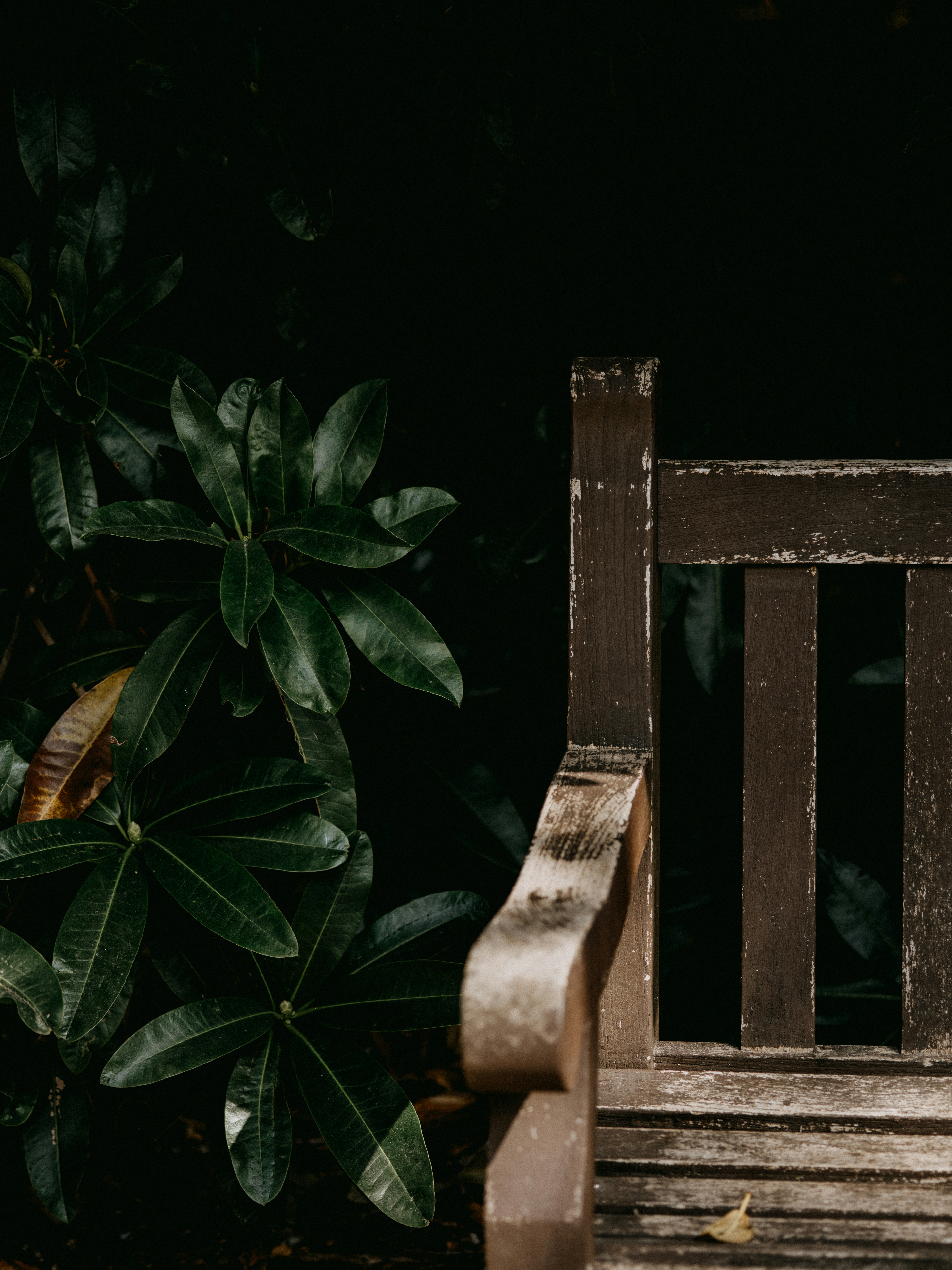 Photo by anniespratt