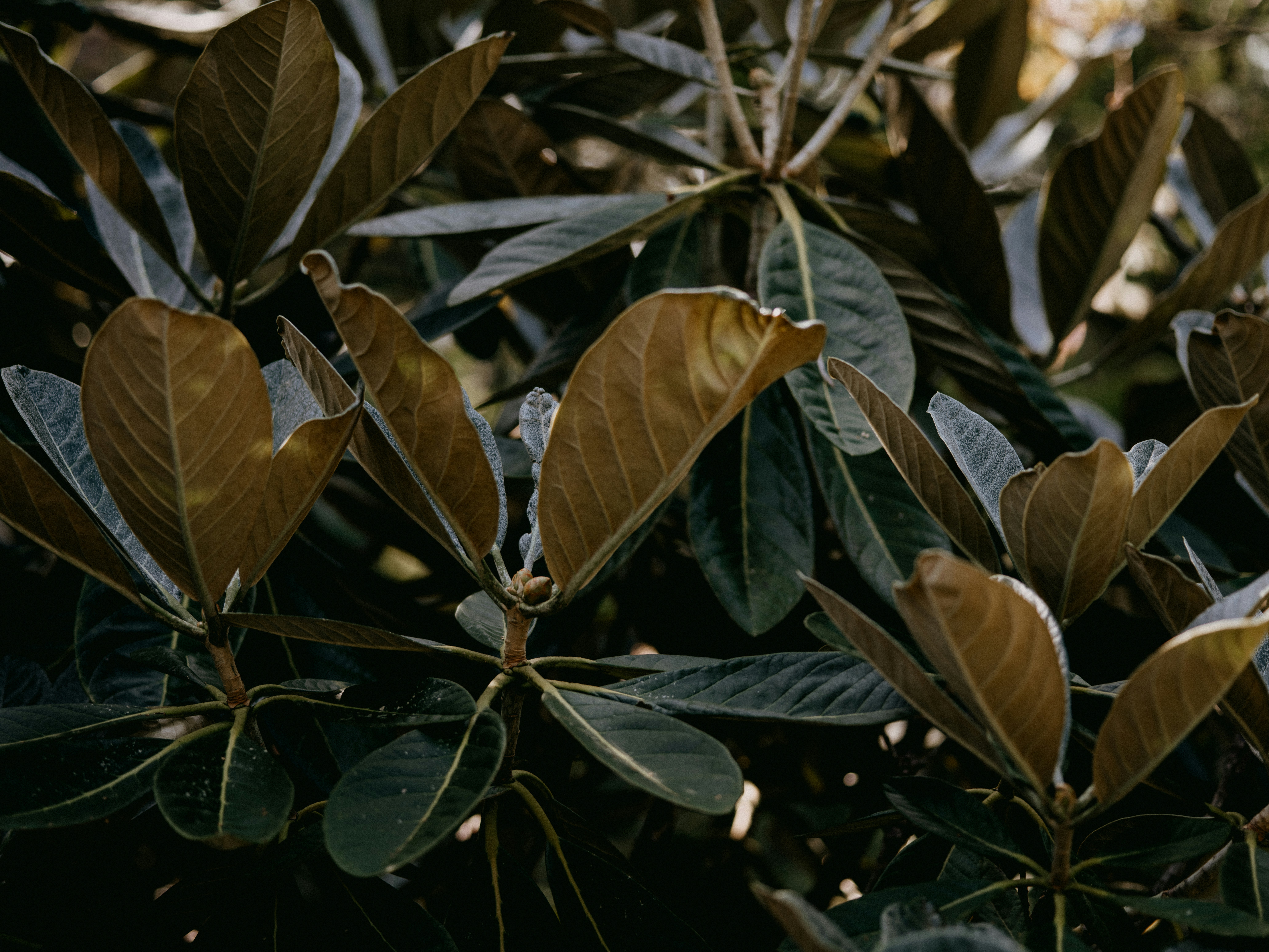 Photo by anniespratt