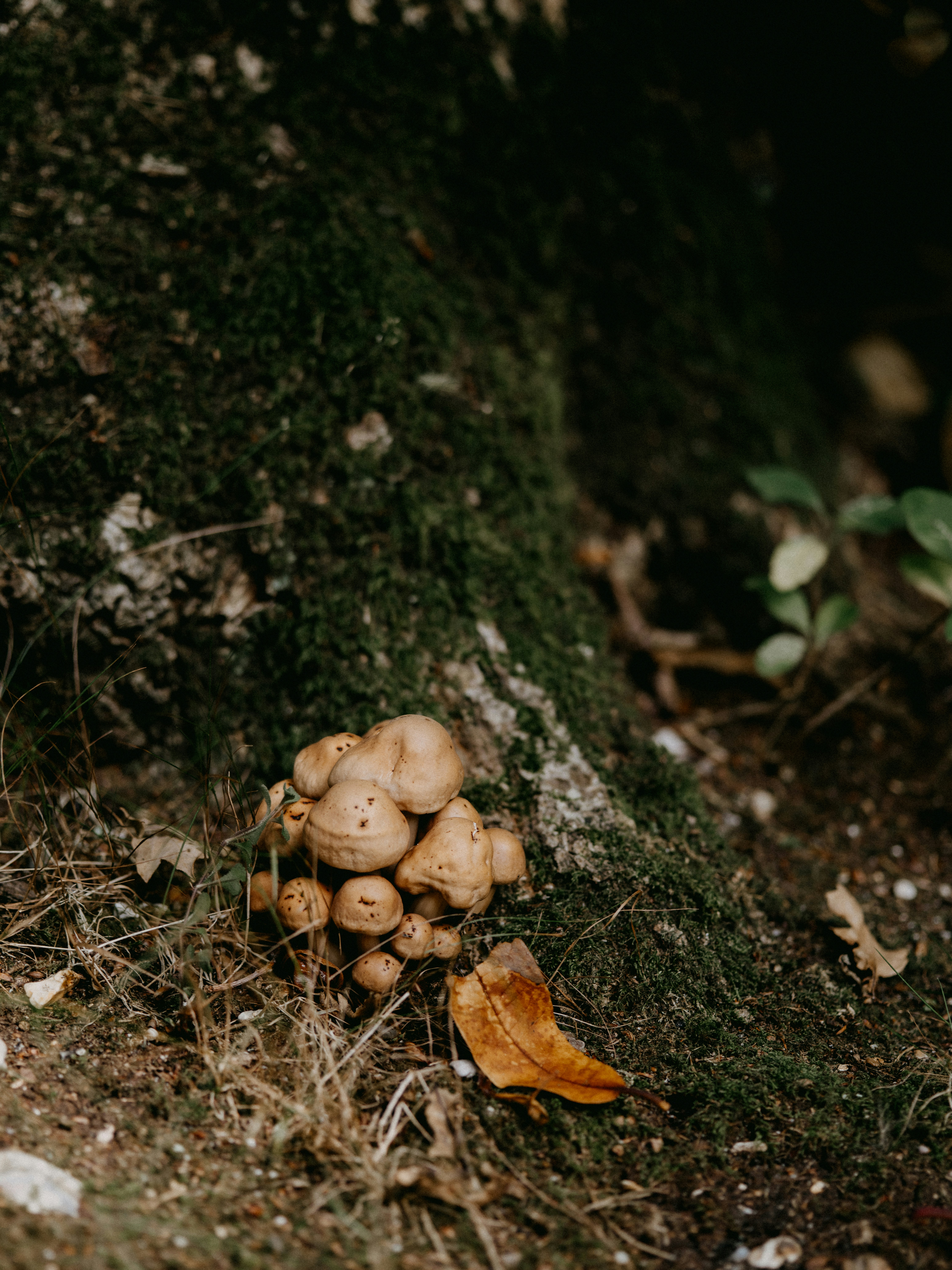 Photo by anniespratt