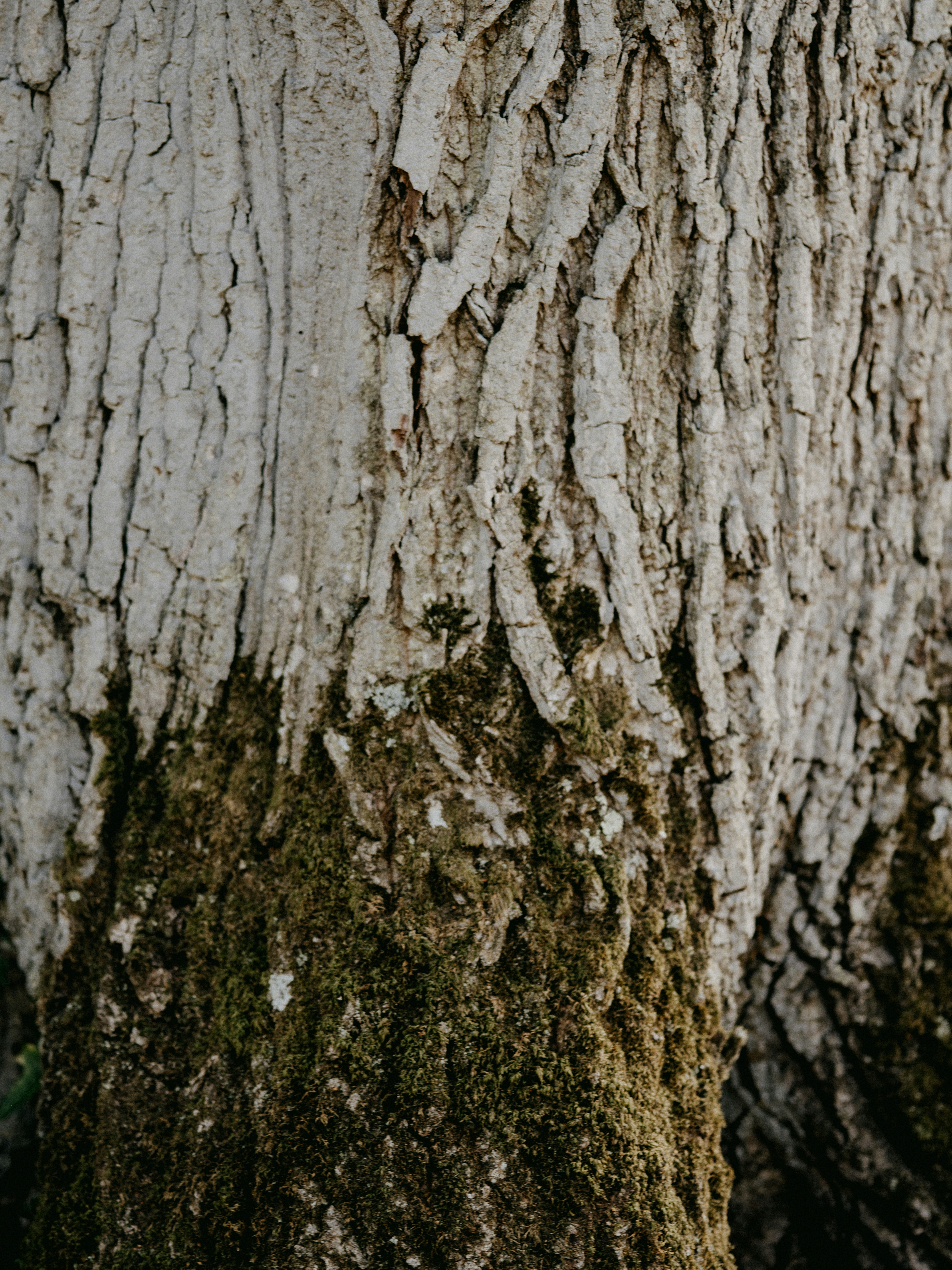 Photo by anniespratt