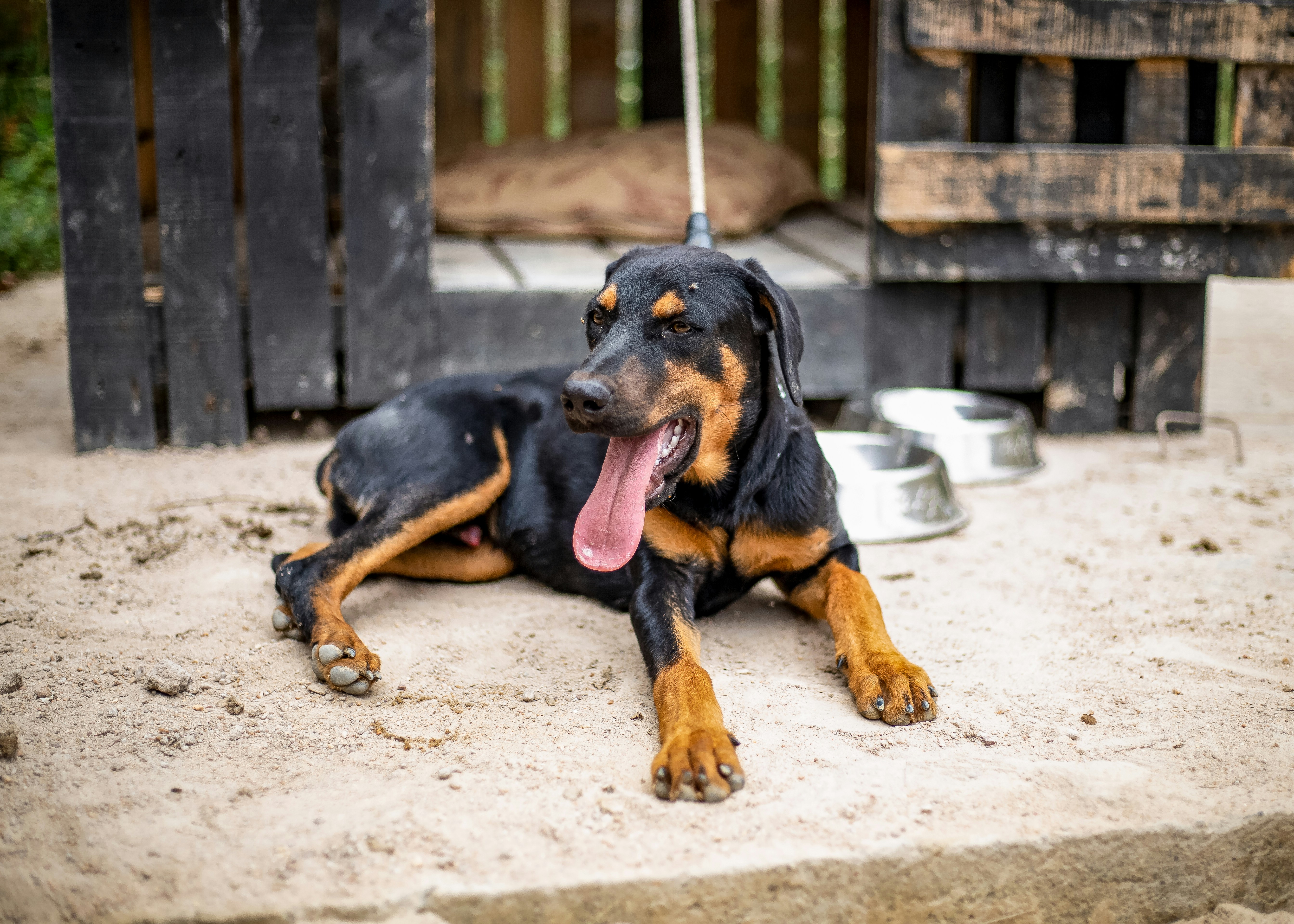 Photo by emmanuel_okine