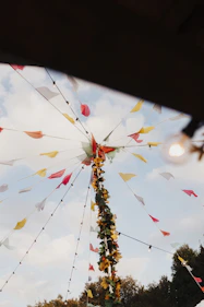 white and red flower petals
