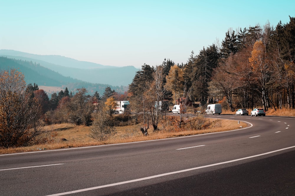 gray asphalt road near green trees during daytime