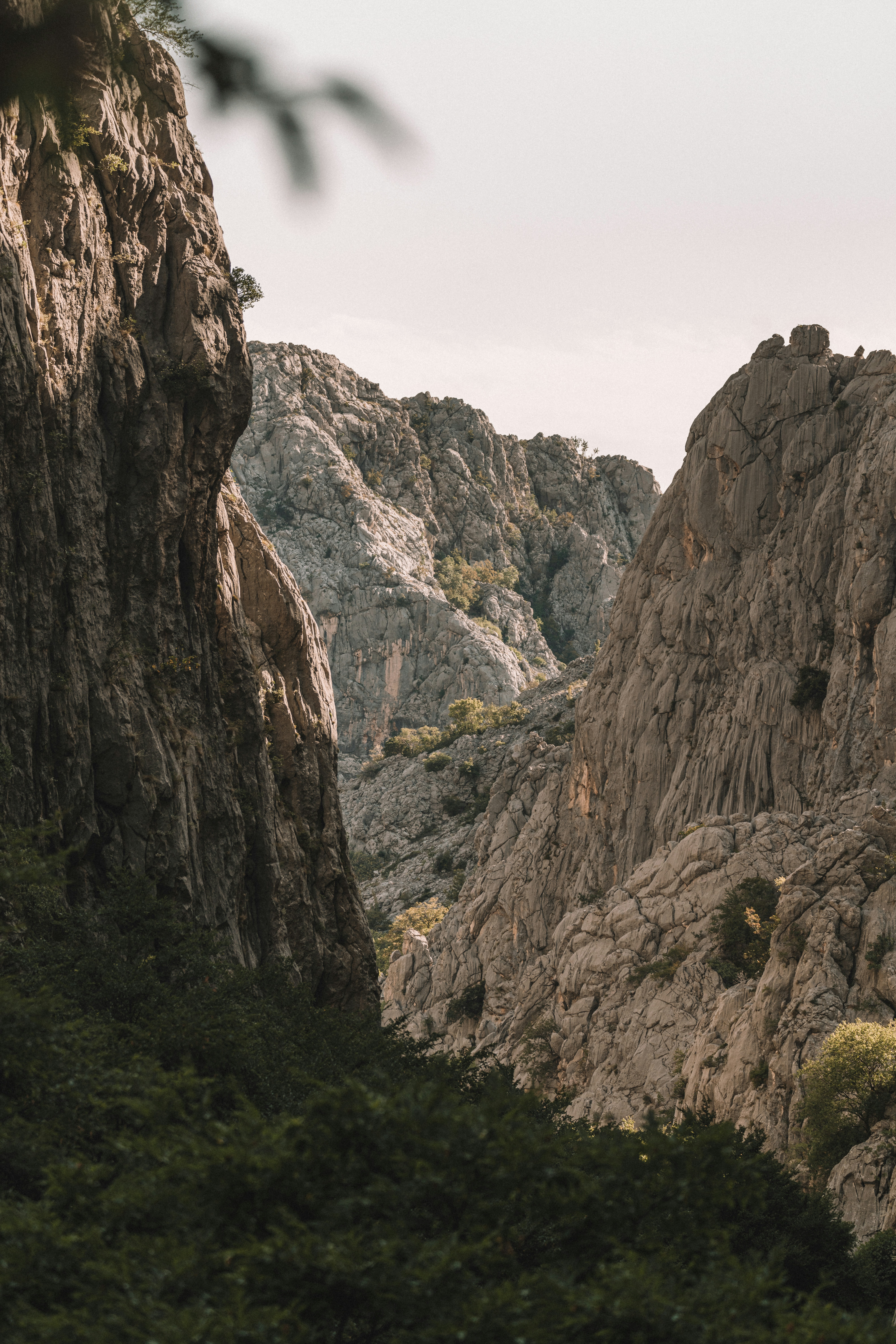 Photo by didiofederico_photographer