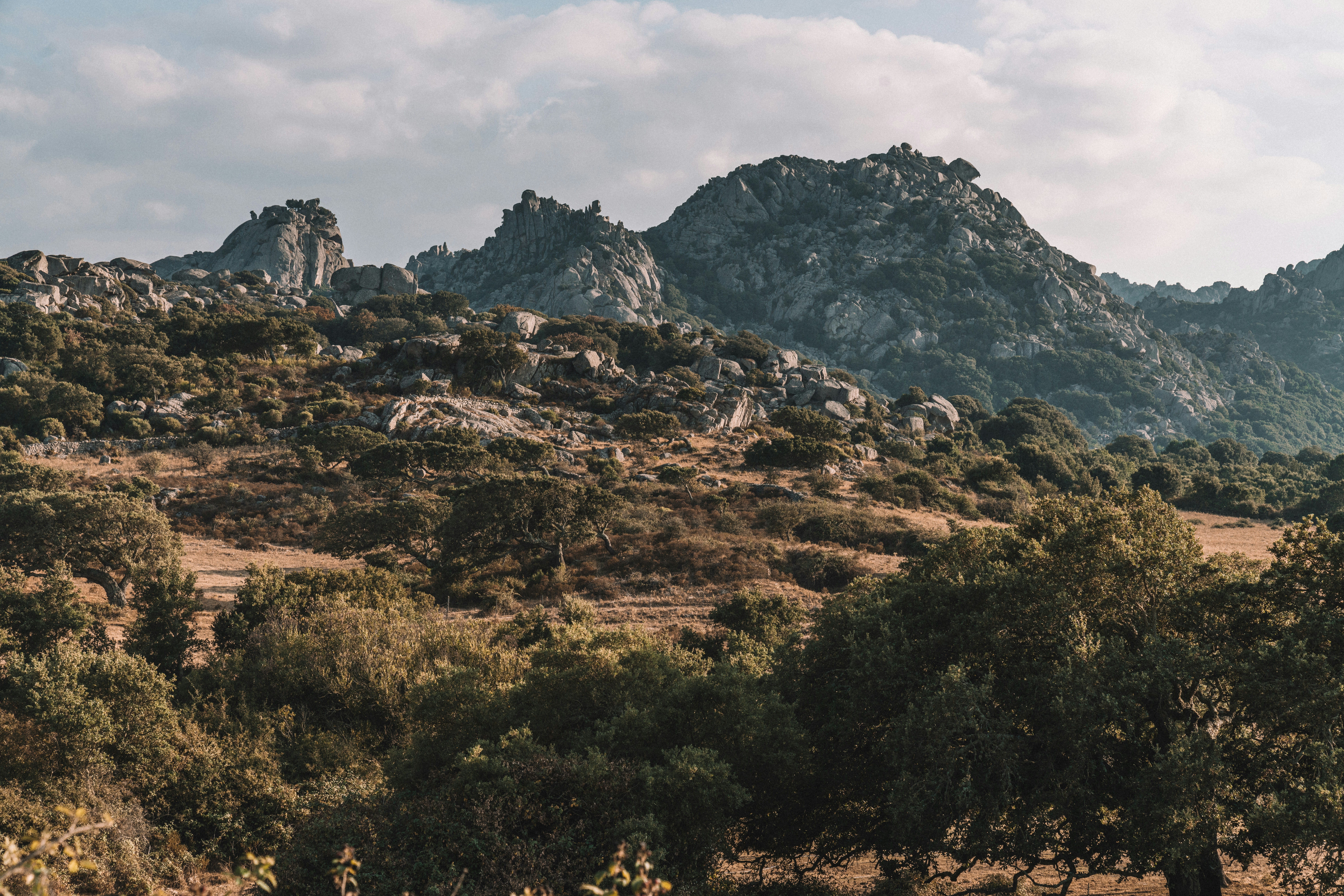 Photo by didiofederico_photographer