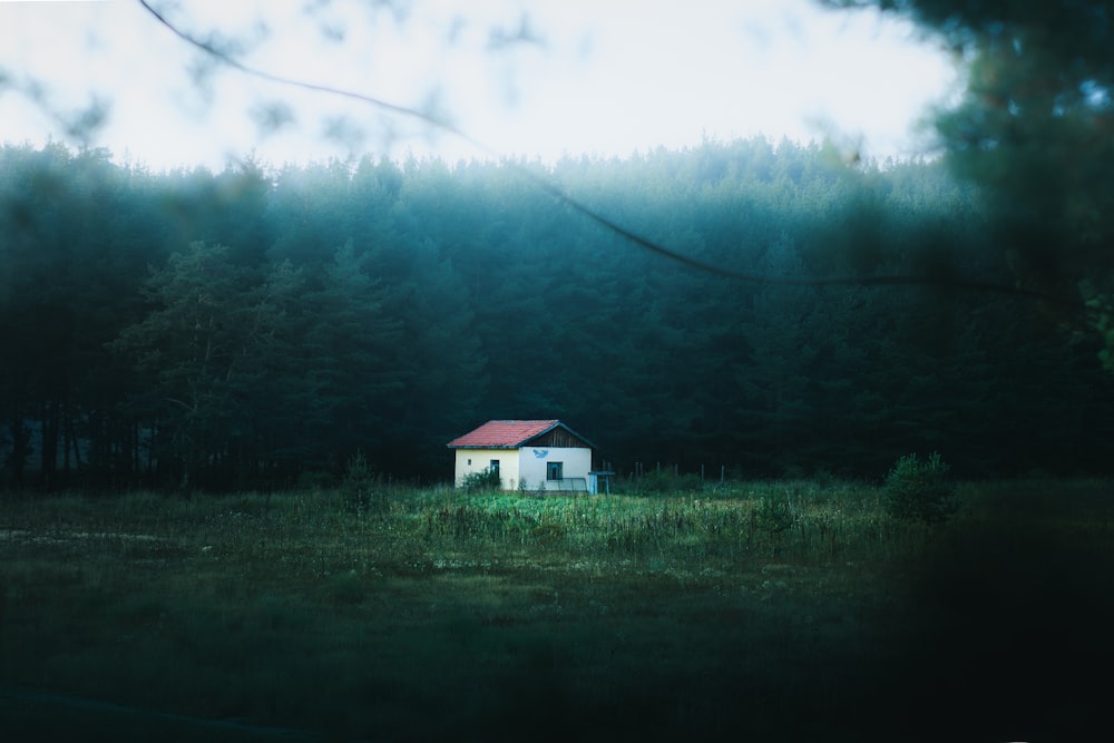 white and red house on green grass field under white clouds