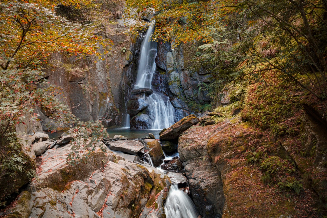 waterfalls in the middle of the forest